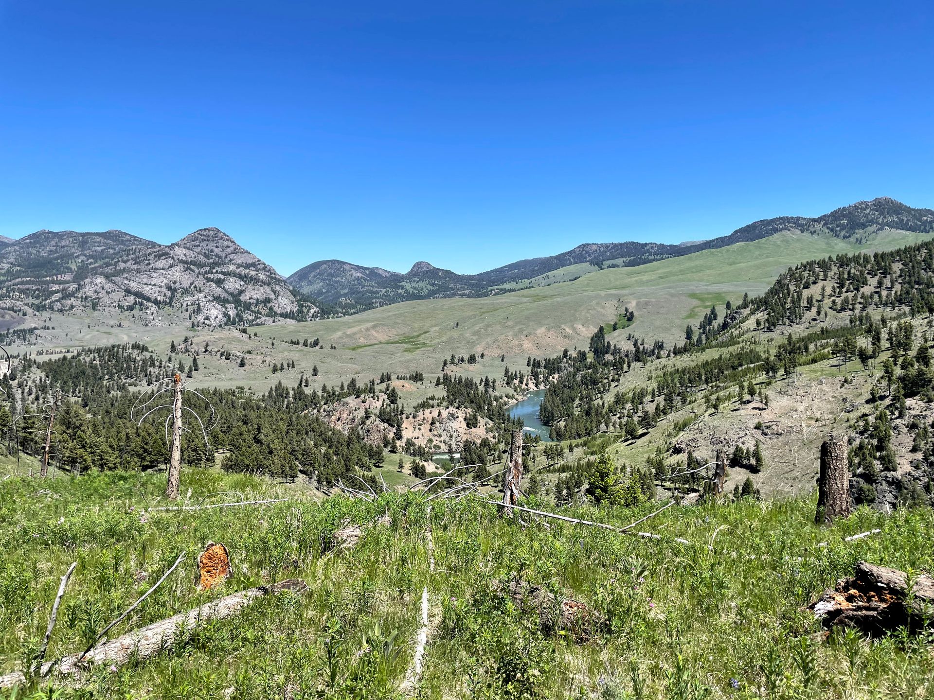 A view of rolling green hills and trees on the hike to the Hellroaring Suspension Bridge