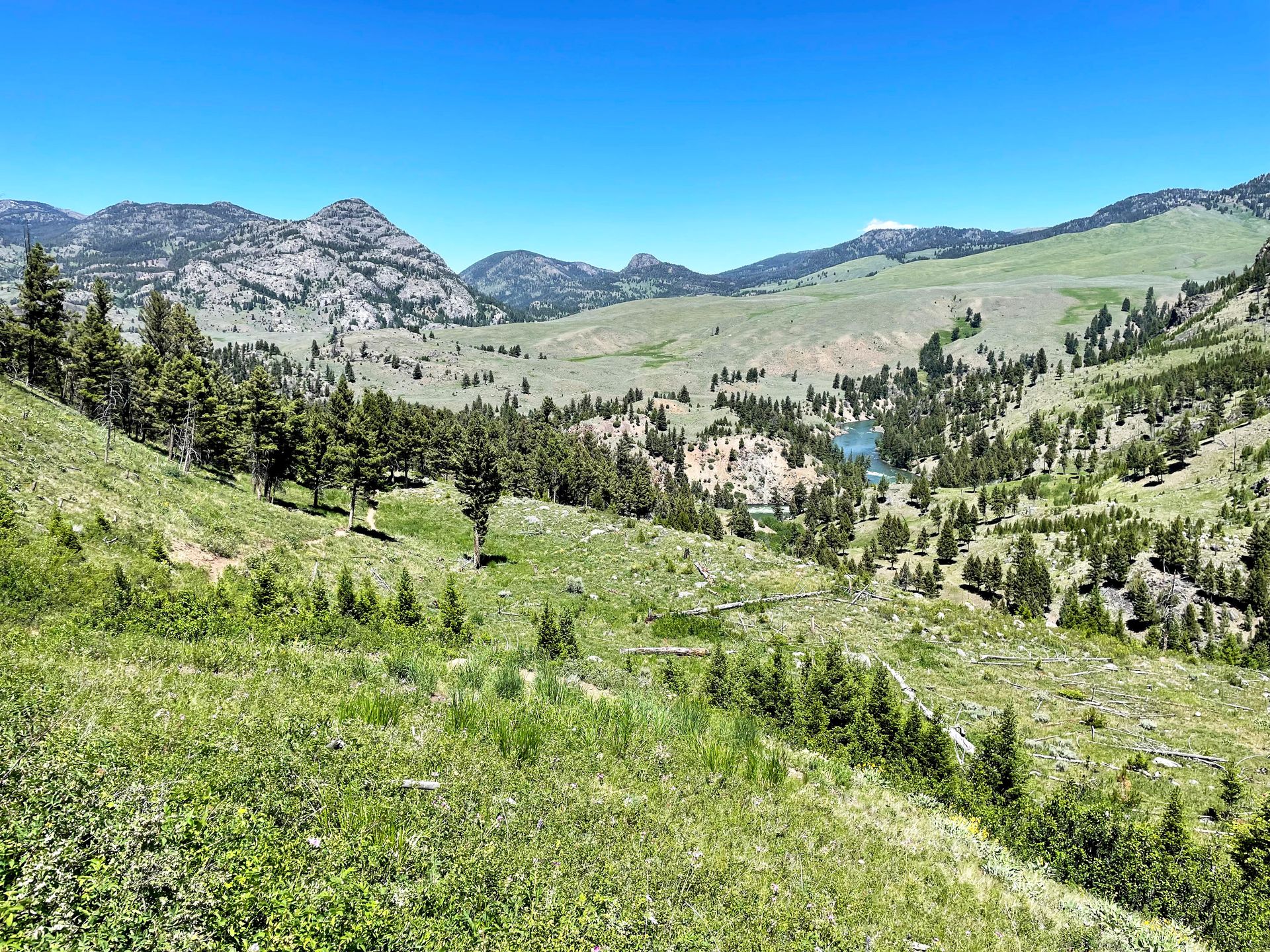 A view of green rolling hills on the Hellroaring Suspension Bridge trail.