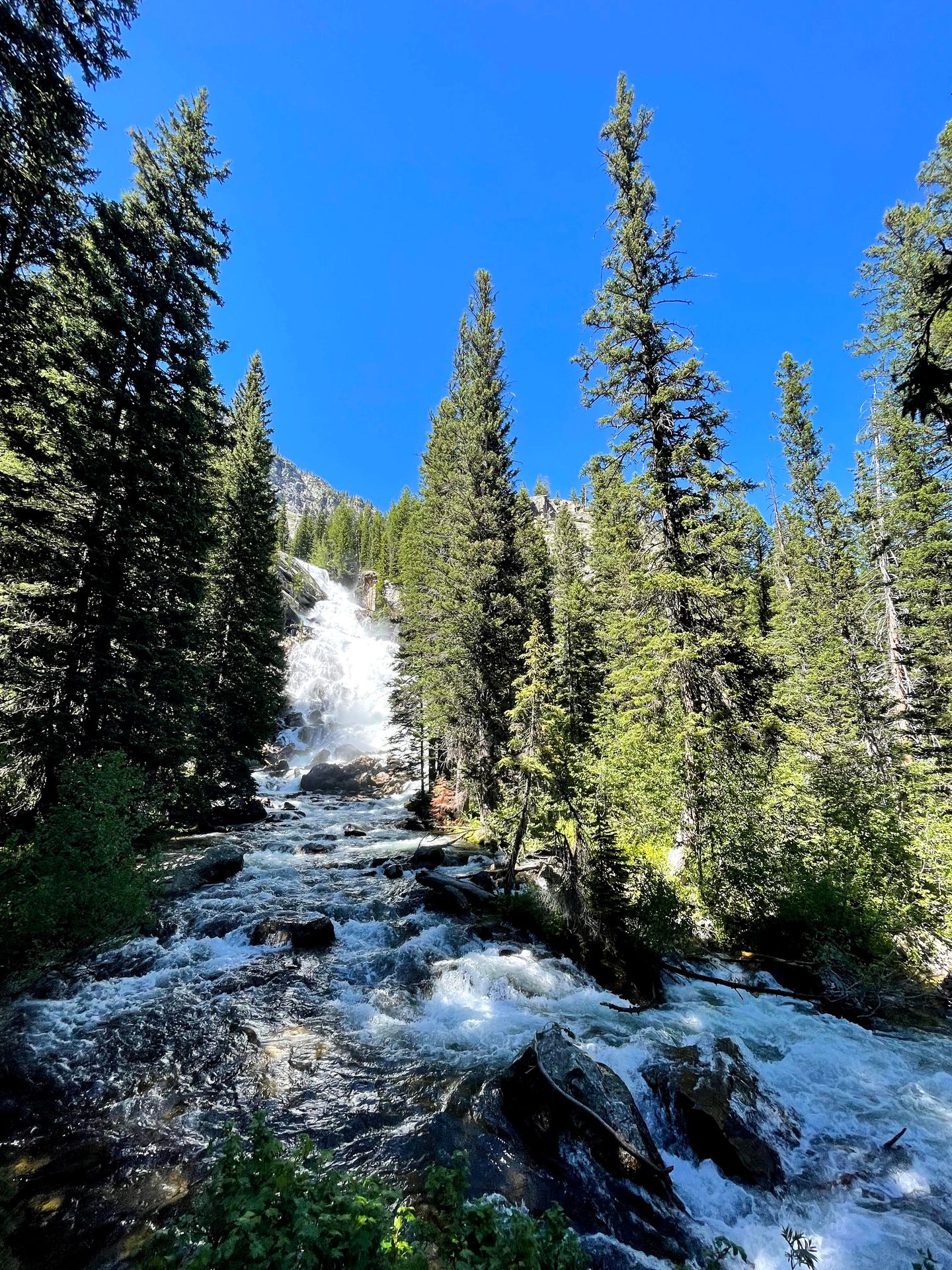 A view of Hidden Falls. The waterfall is in the distance surrounded by tall trees and it flows into a river with rocks.