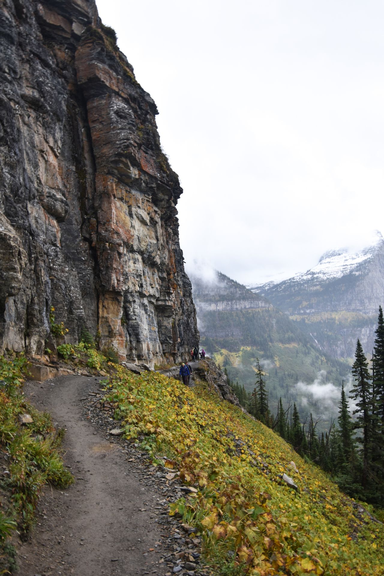A trail along a tall rock face on the Highline trail.