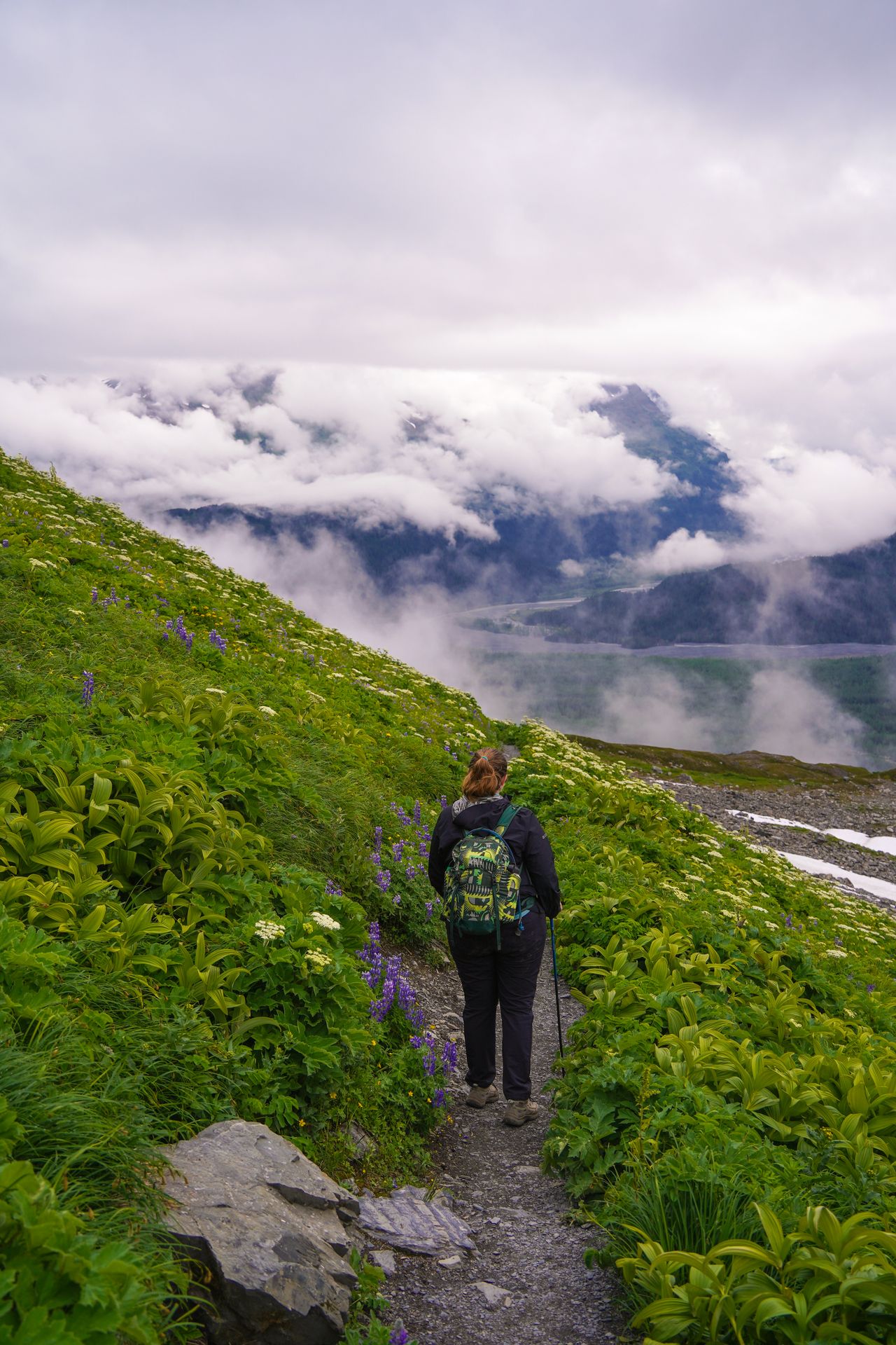 Lydia hiking next to greenery and flowers with clouds and mountains in the distance on the Harding Icefield hike