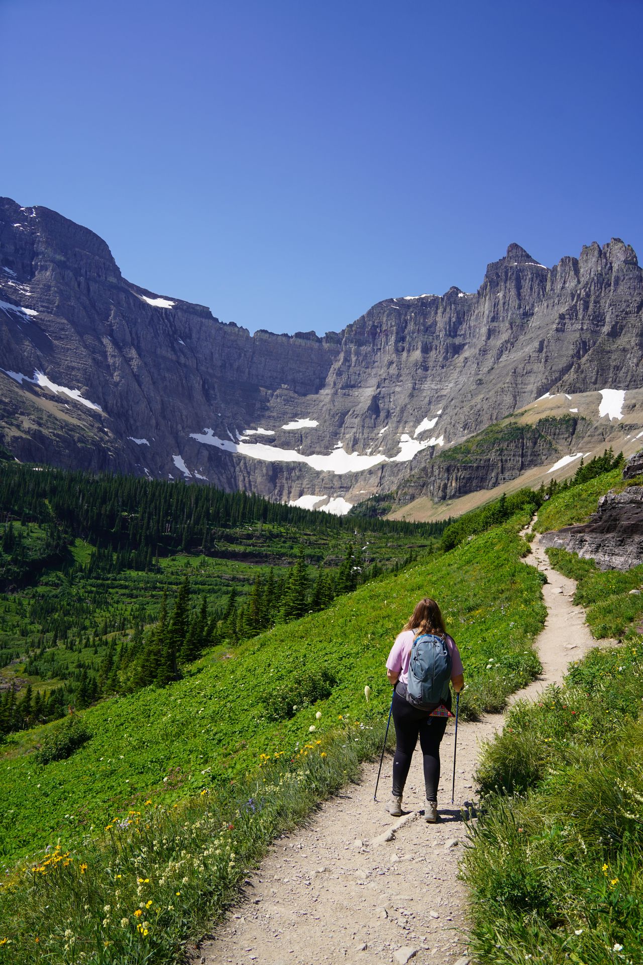 Lydia hiking to Iceberg Lake. There are mountains in the distance and yellow flowers along the path