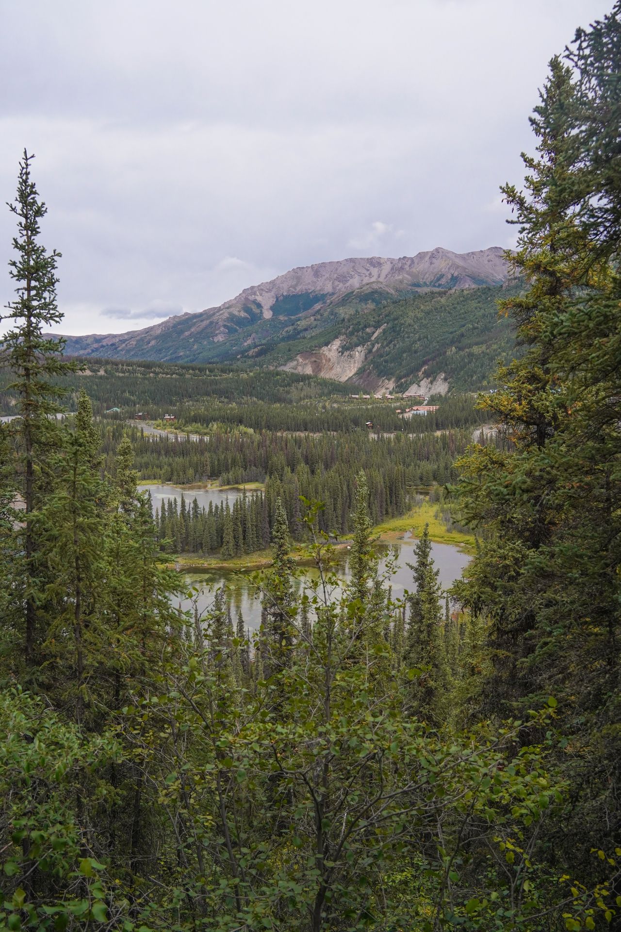 A viewpoint of lakes, trees and mountains seen early on in the Horseshoe Lakes Trail in Denali National Park