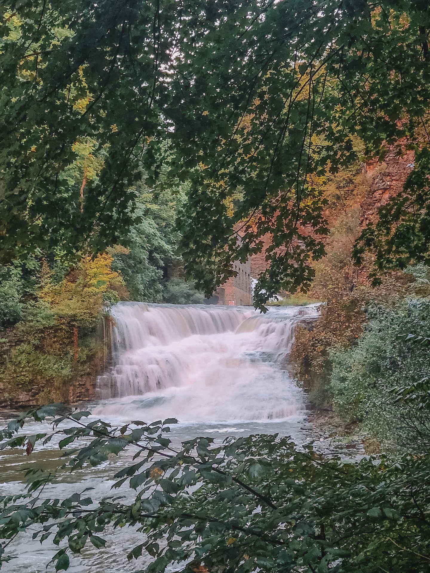 Looking out at a waterfall through the trees.