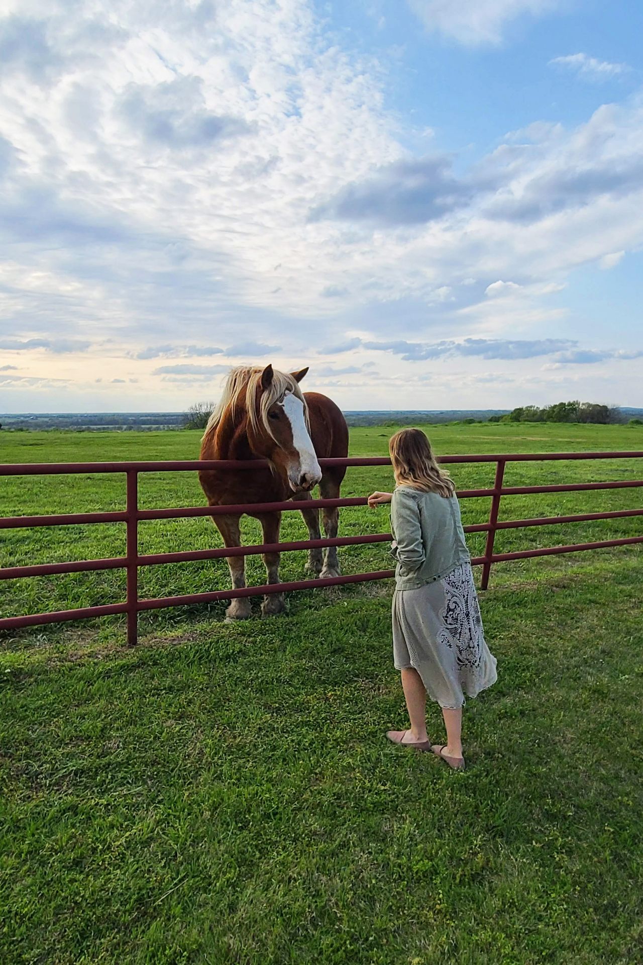 Lydia reaching out to a brown and white horse on the side of a fence.