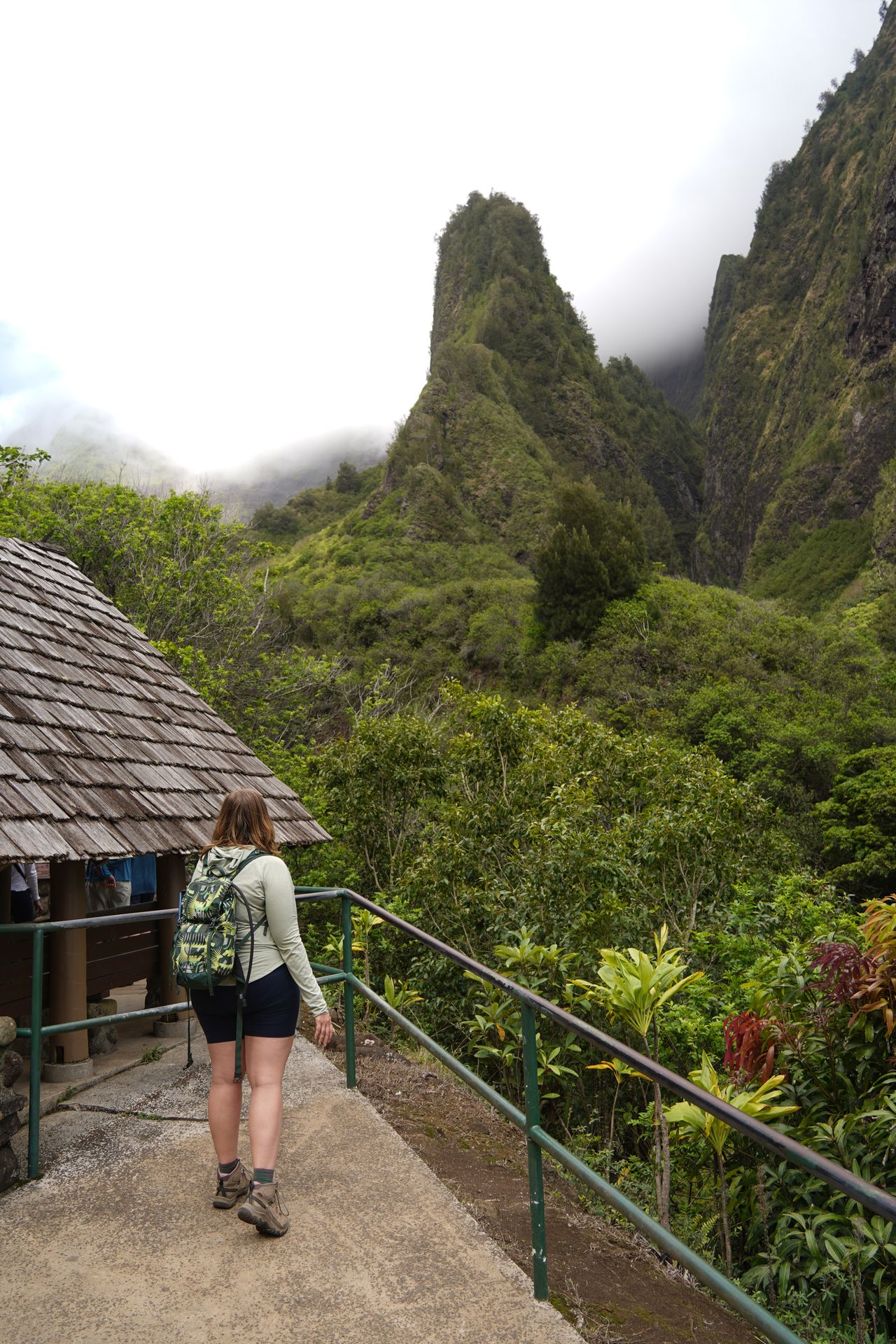 Lydia standing next to a fence and looking up at the Iao Needle