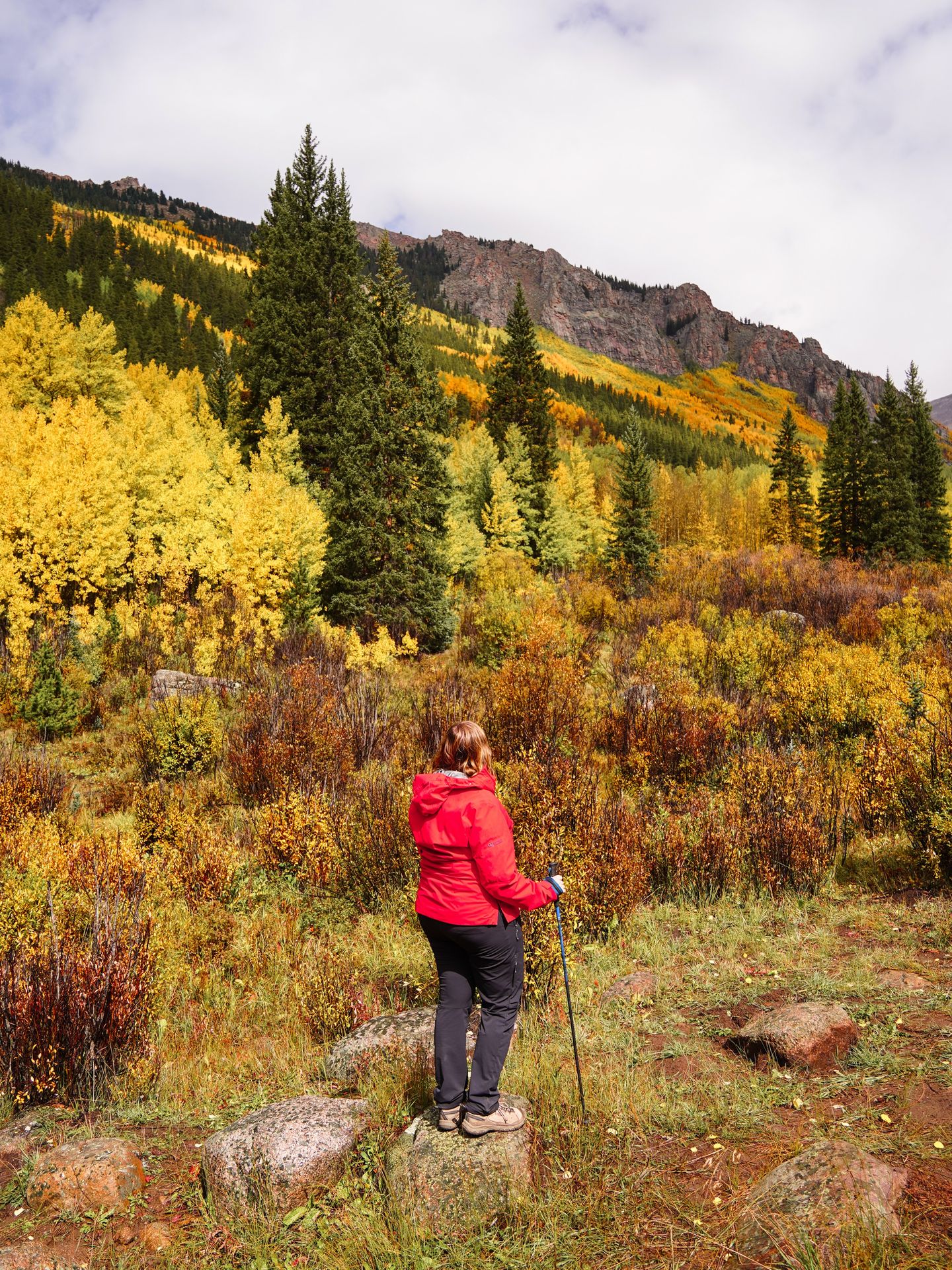 Scenes from Fall - orado 🍂