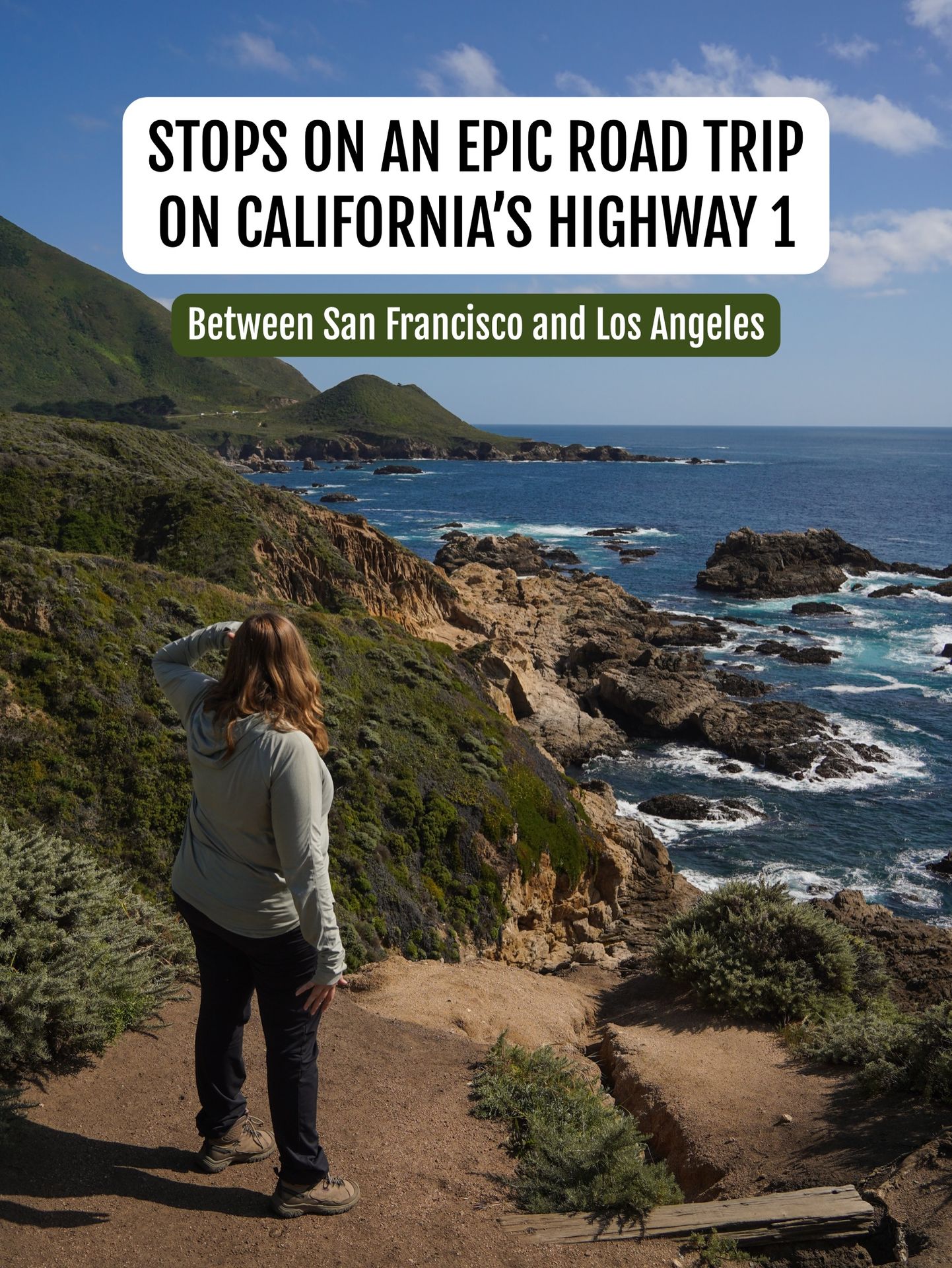 Epic stops on a California coastal road trip! 🚗🌉🦭