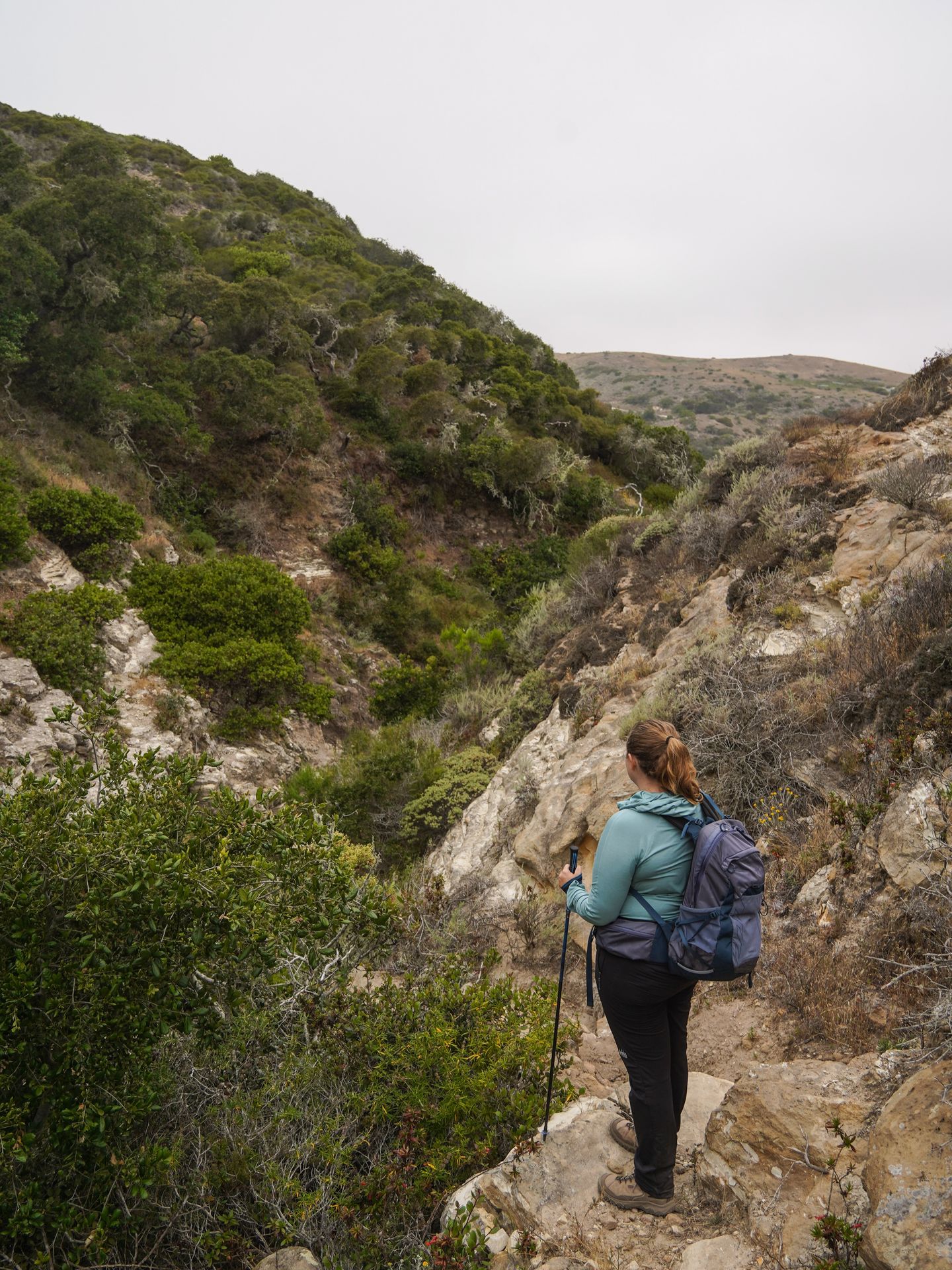 ✨Scenes from Channel Islands National Park ✨