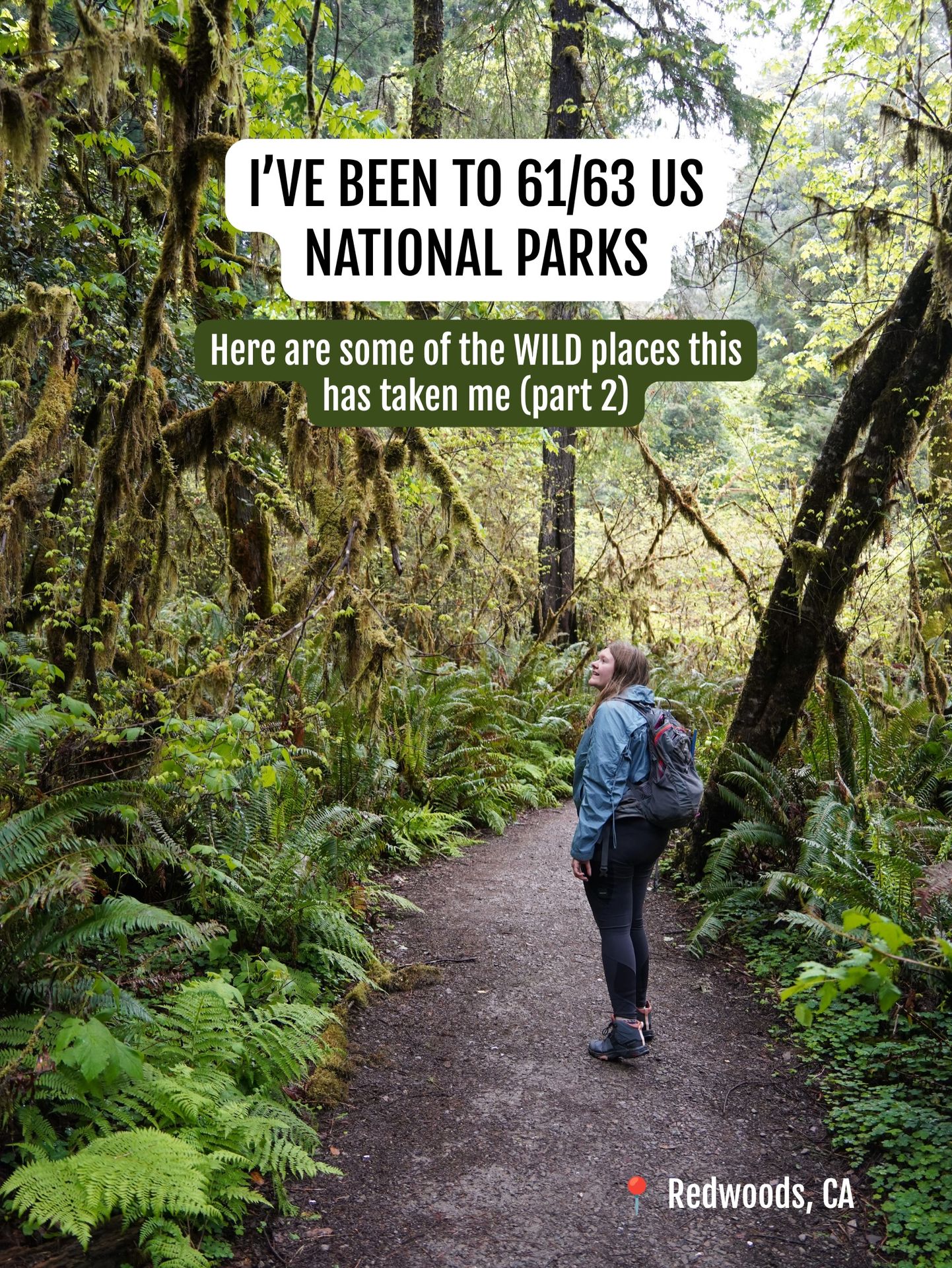 Happy National Park Week! 🐻🥾🌲🌊