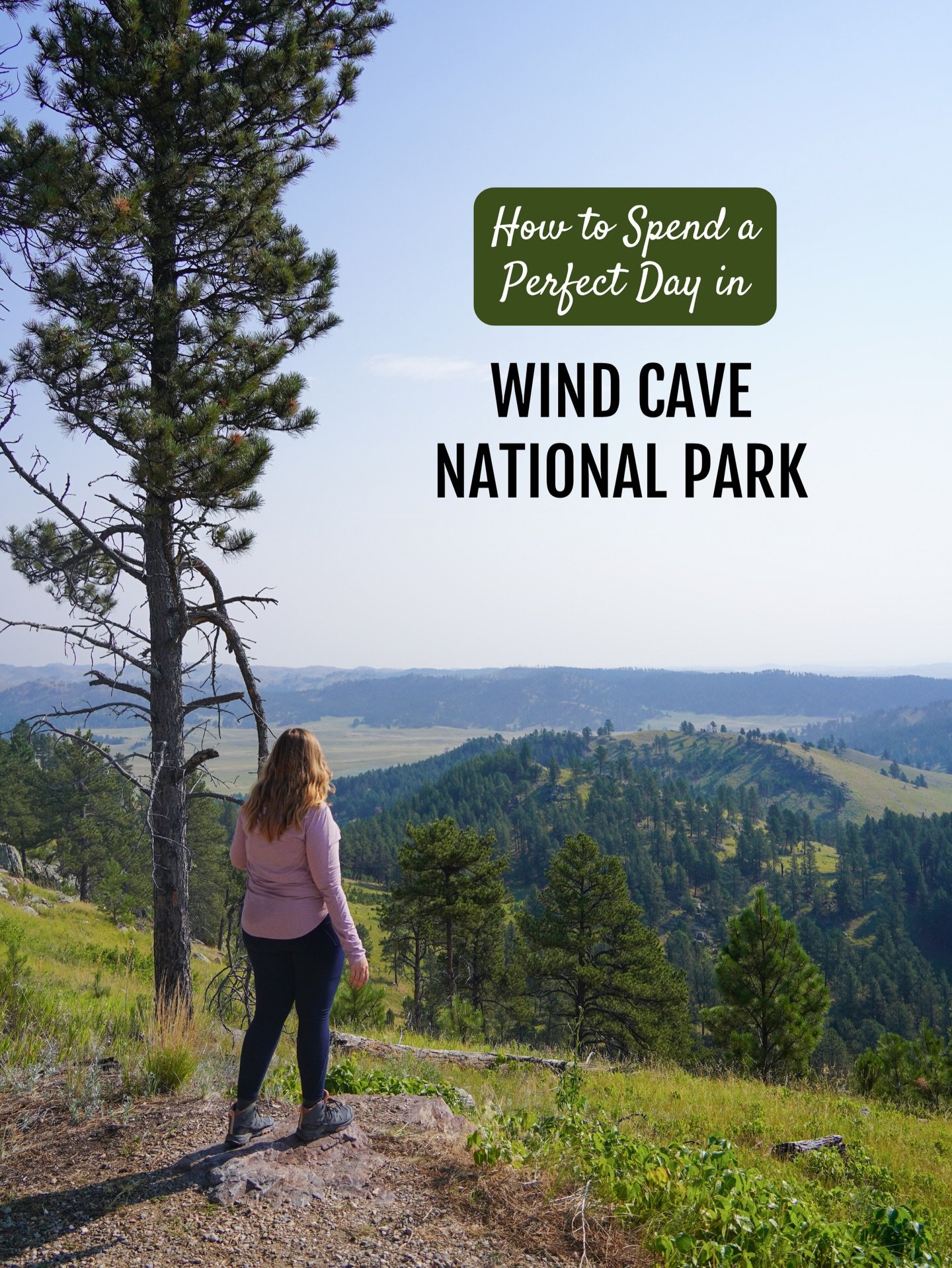Wind Cave was the first cave designated as a national park in the world 🤯