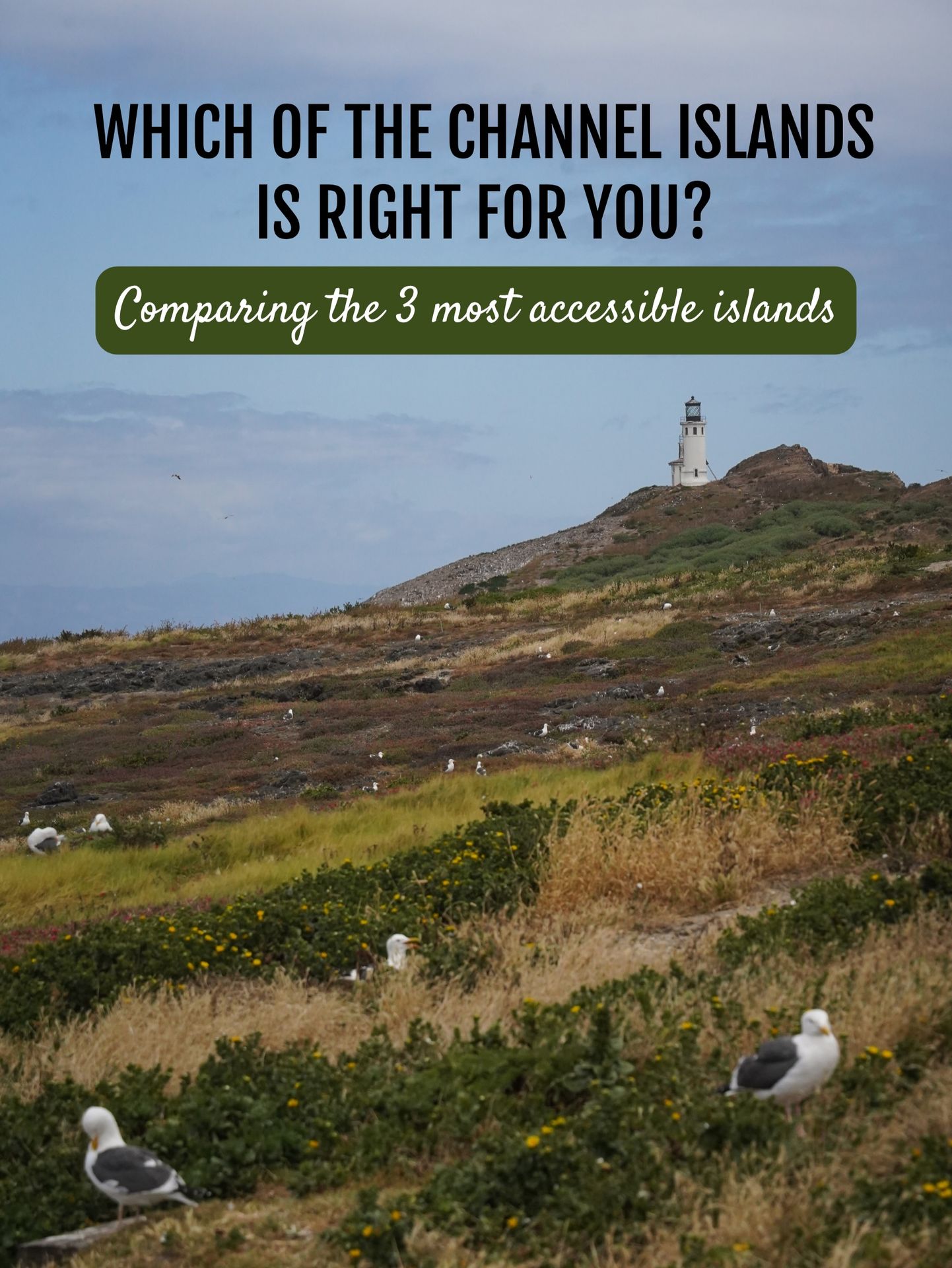 After visiting 60 national parks, Channel Islands is still one of my favorites! 