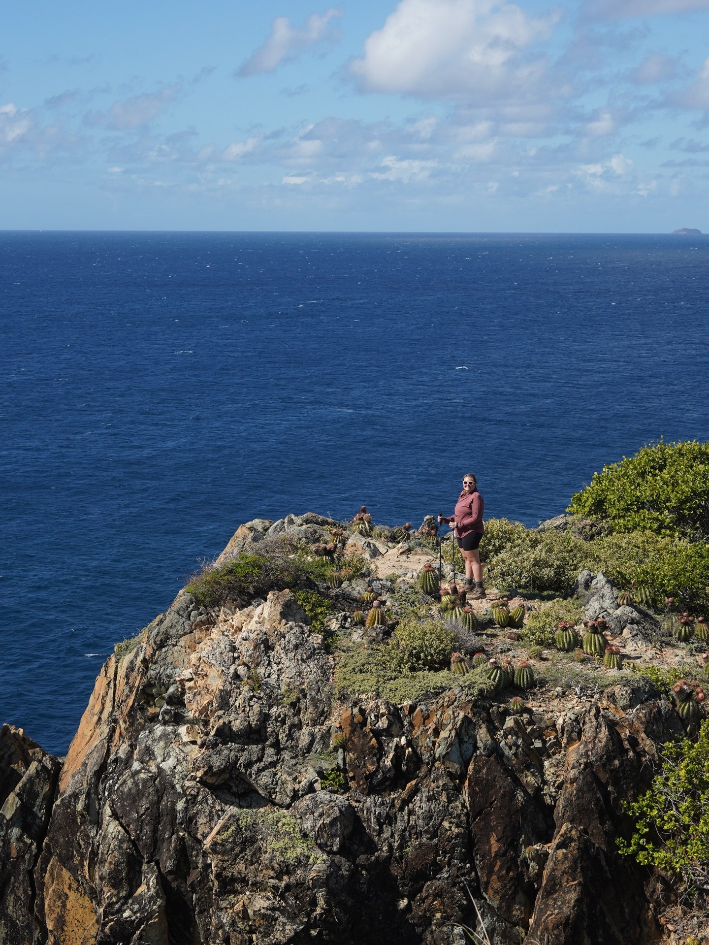✨ Scenes from Virgin Islands National Park ✨