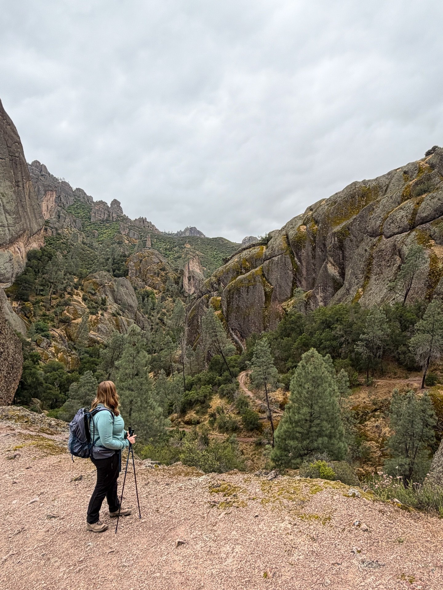 ✨Scenes from Pinnacles National Park ✨