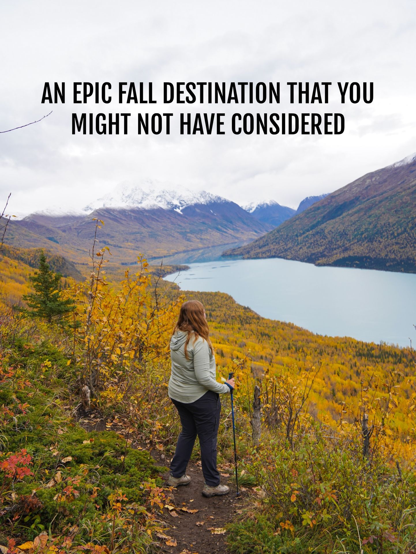 Alaska in the fall is magical! 🍁