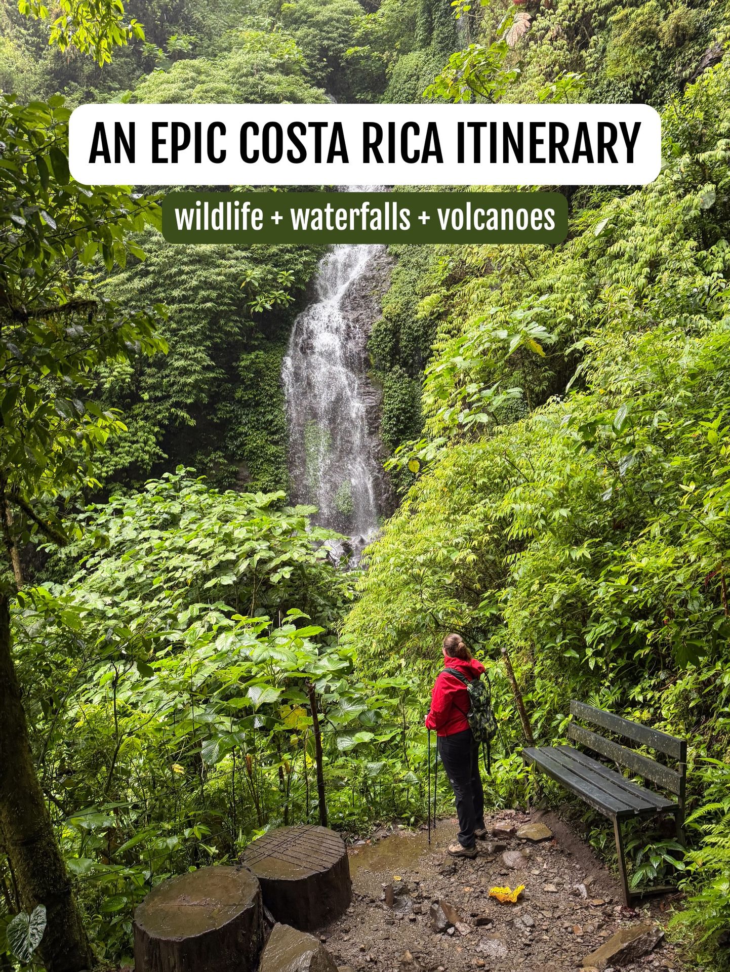 Sloths, colorful birds, waterfalls, cloud forests… Costa Rica is magical 🌈🦥🦜