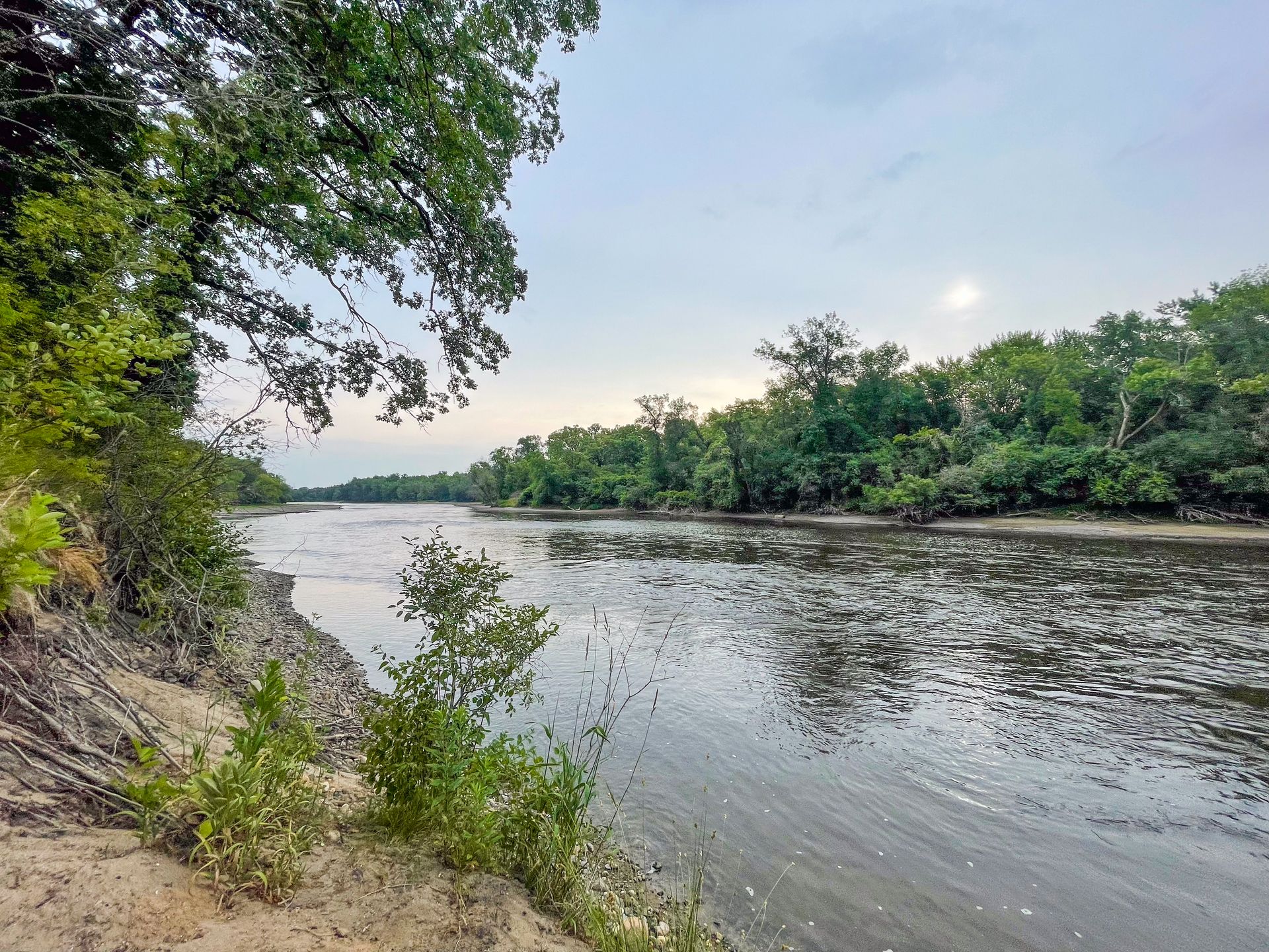 Standing on the banks of the Mississippi River looking at an island.