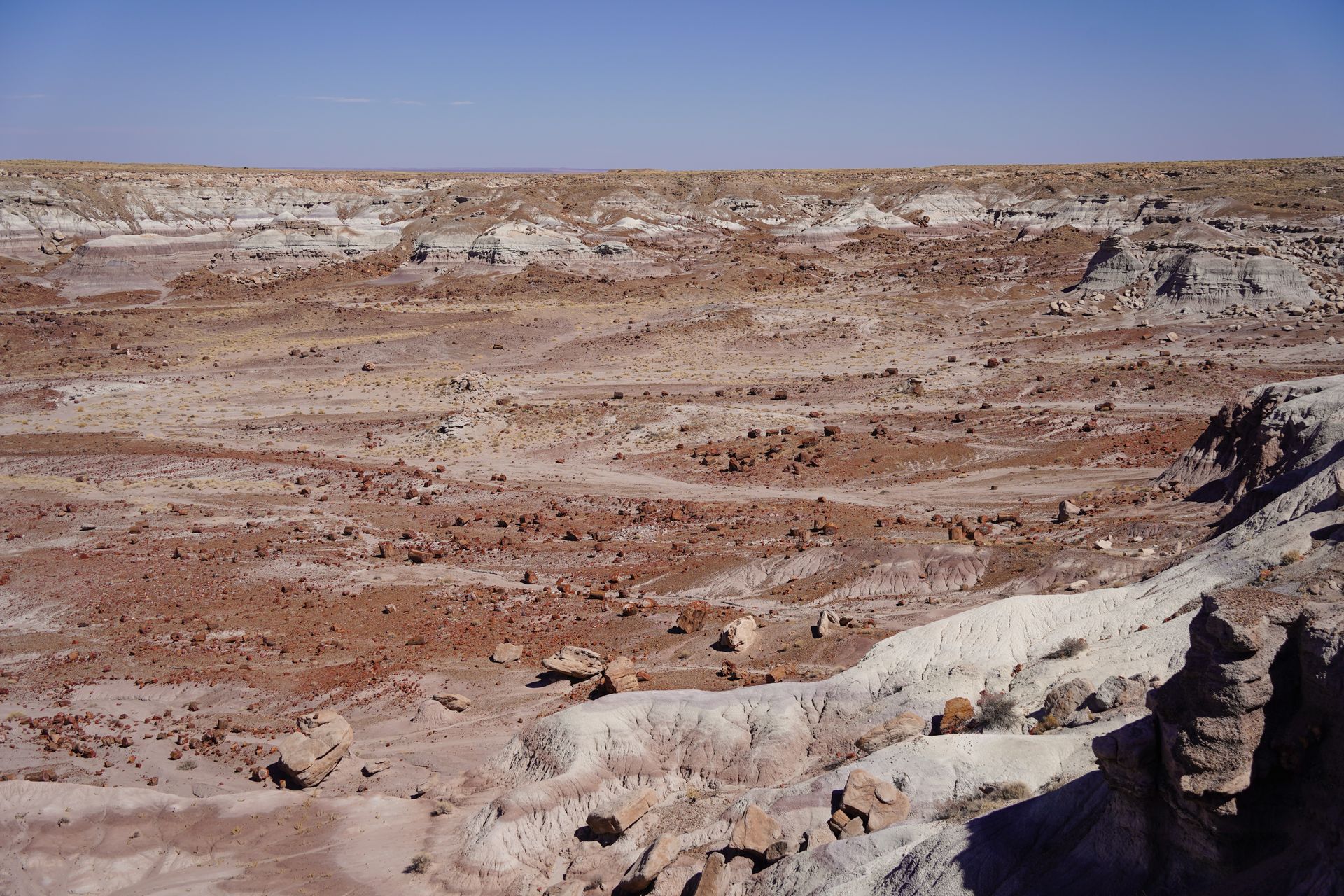 A viewpoint of a desert area full of rocks and petrified wood