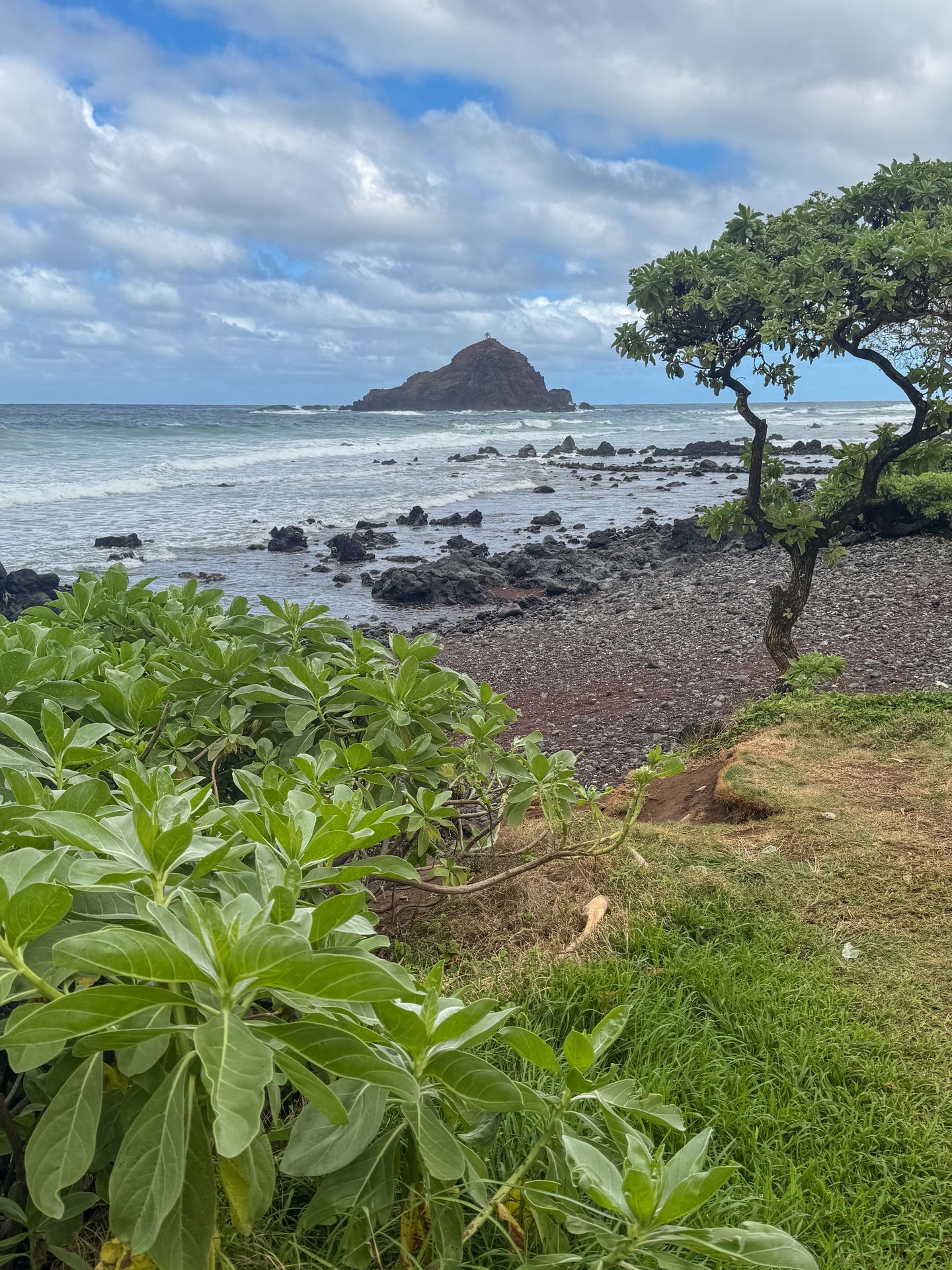 Looking out at a small rocky island from Koki Beach