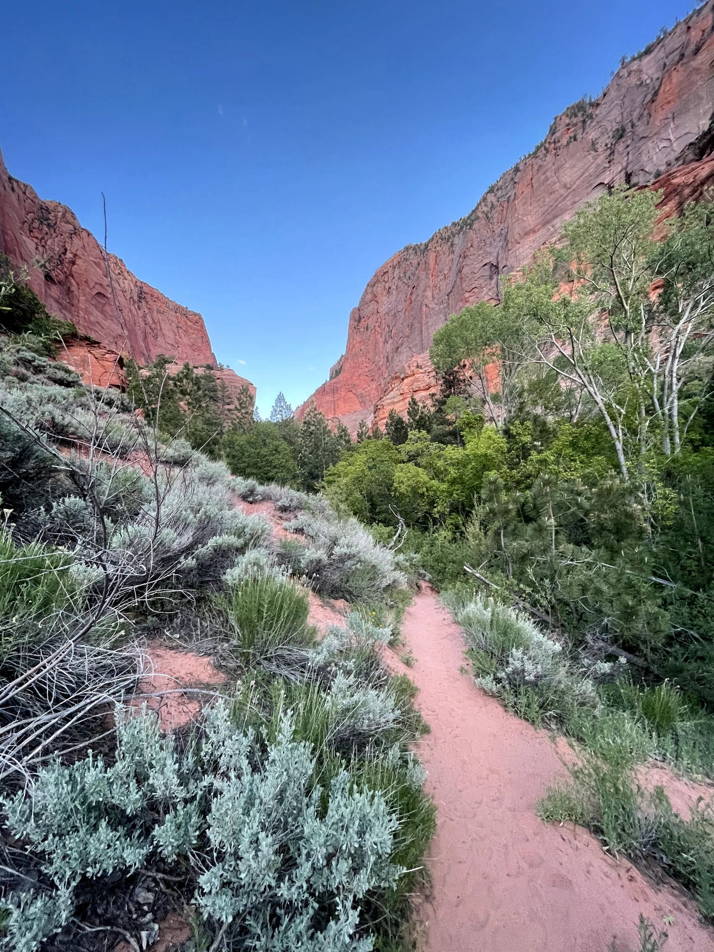 A path of sand with greenery and trees. You can see orange cliffs in the distance.
