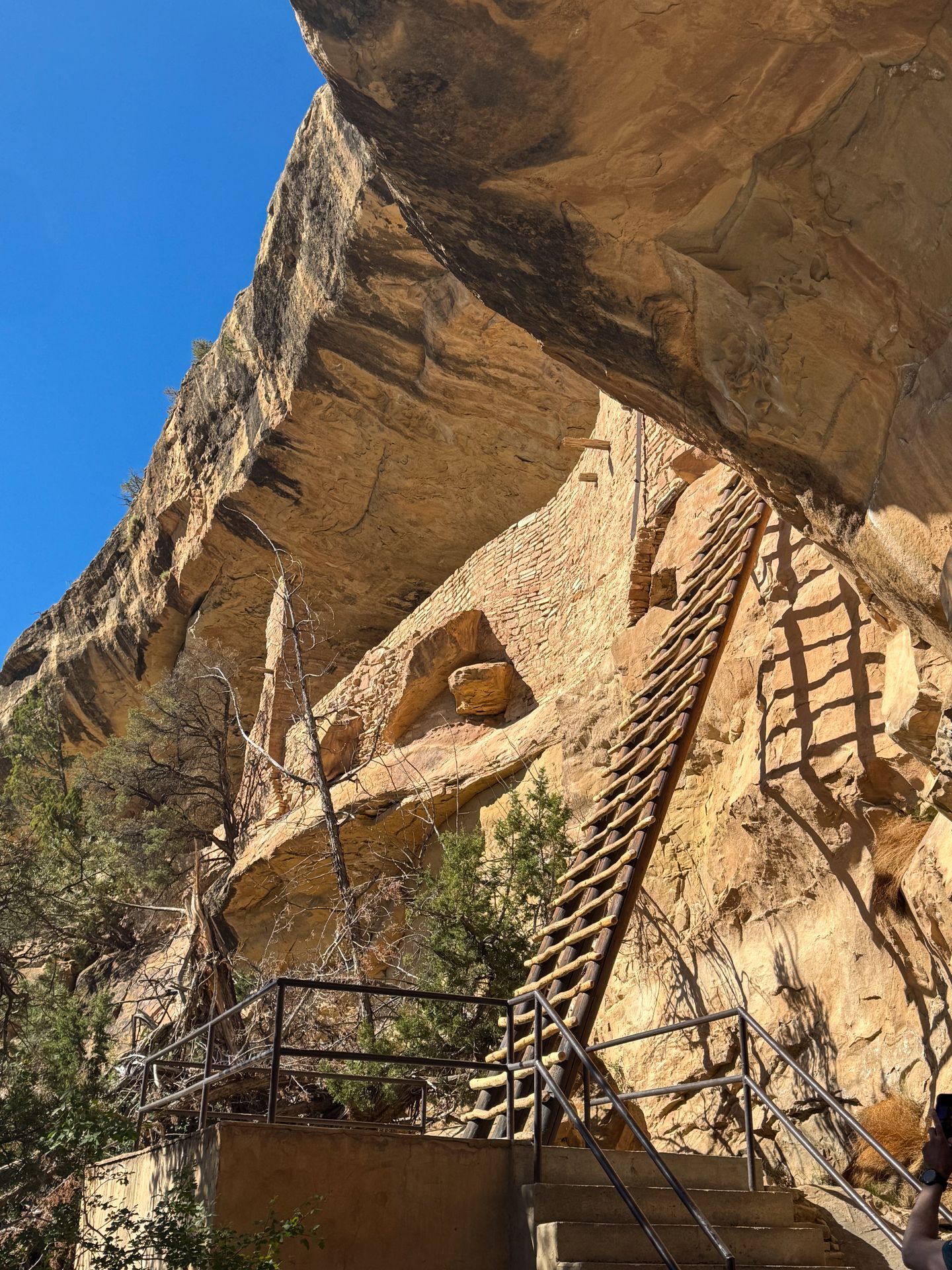 A tall ladder that leads up into Balcony House