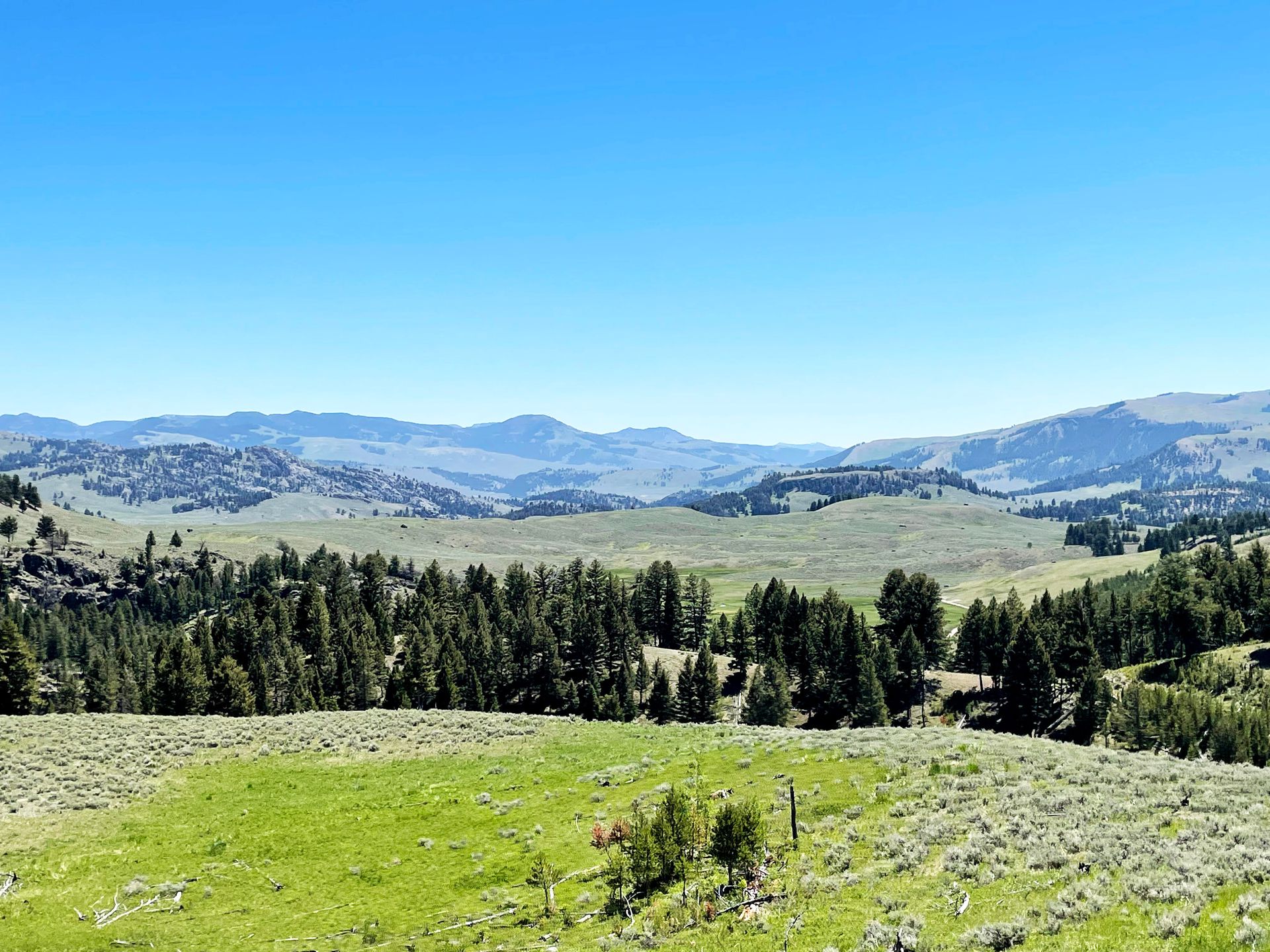 A valley of green rolling hills with trees and mountains in the distance.
