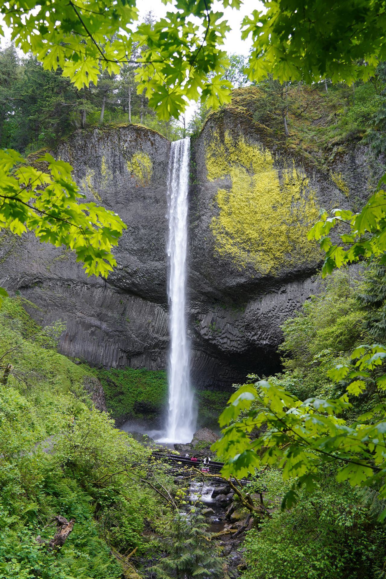 Latourell Falls falling from cliffs made of basalt rocks