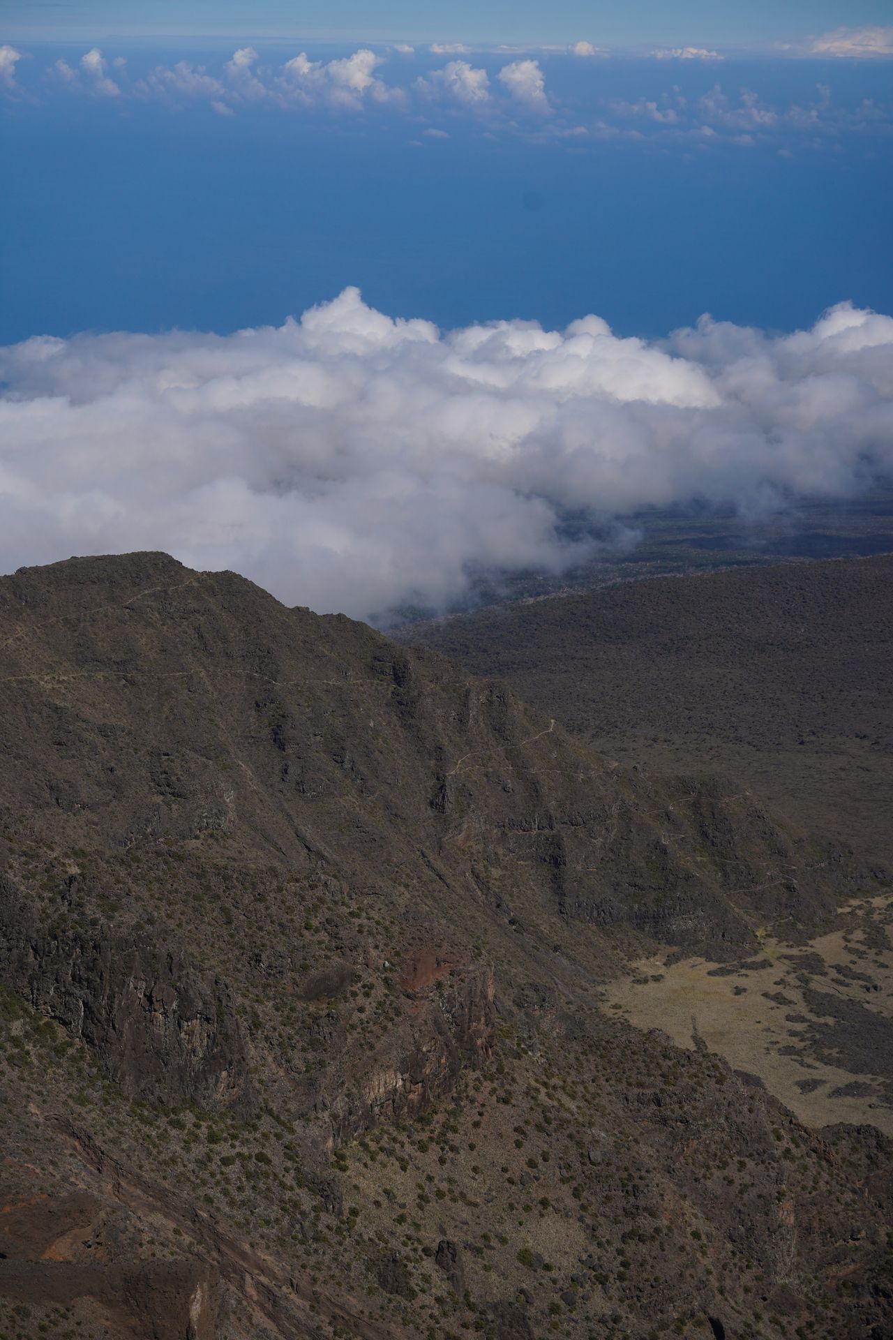 A cliff covered in green trees, with a crater in the distance with black volcanic rocks