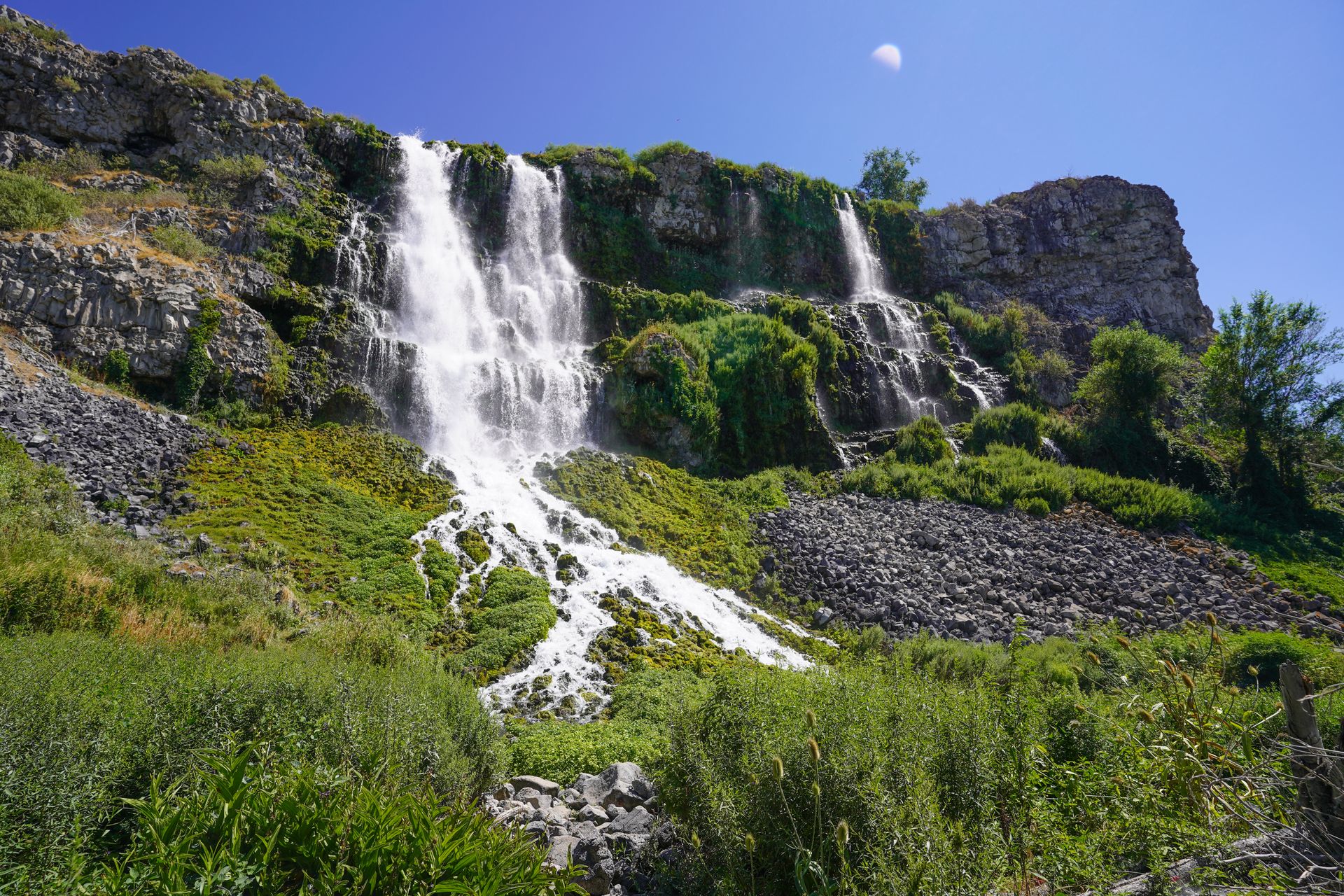 A waterfall flowing over greenery.