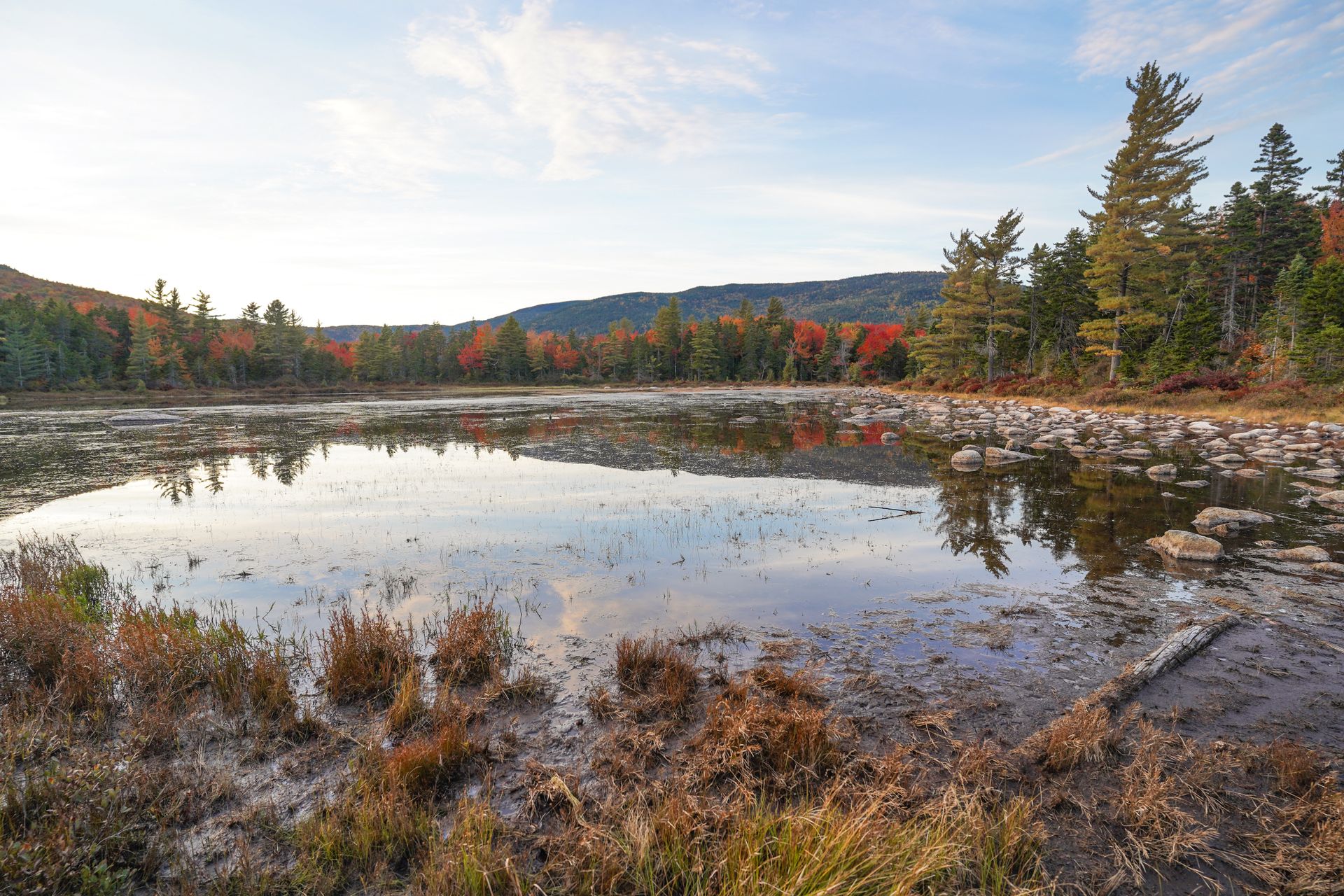 A reflection in a pond, which is surrounded by fall foliage
