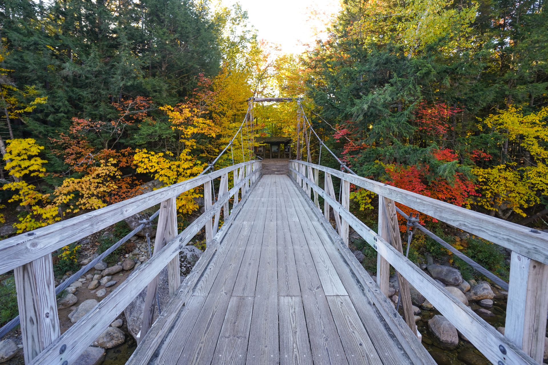 Looking across a suspension bridge at Lincoln Woods
