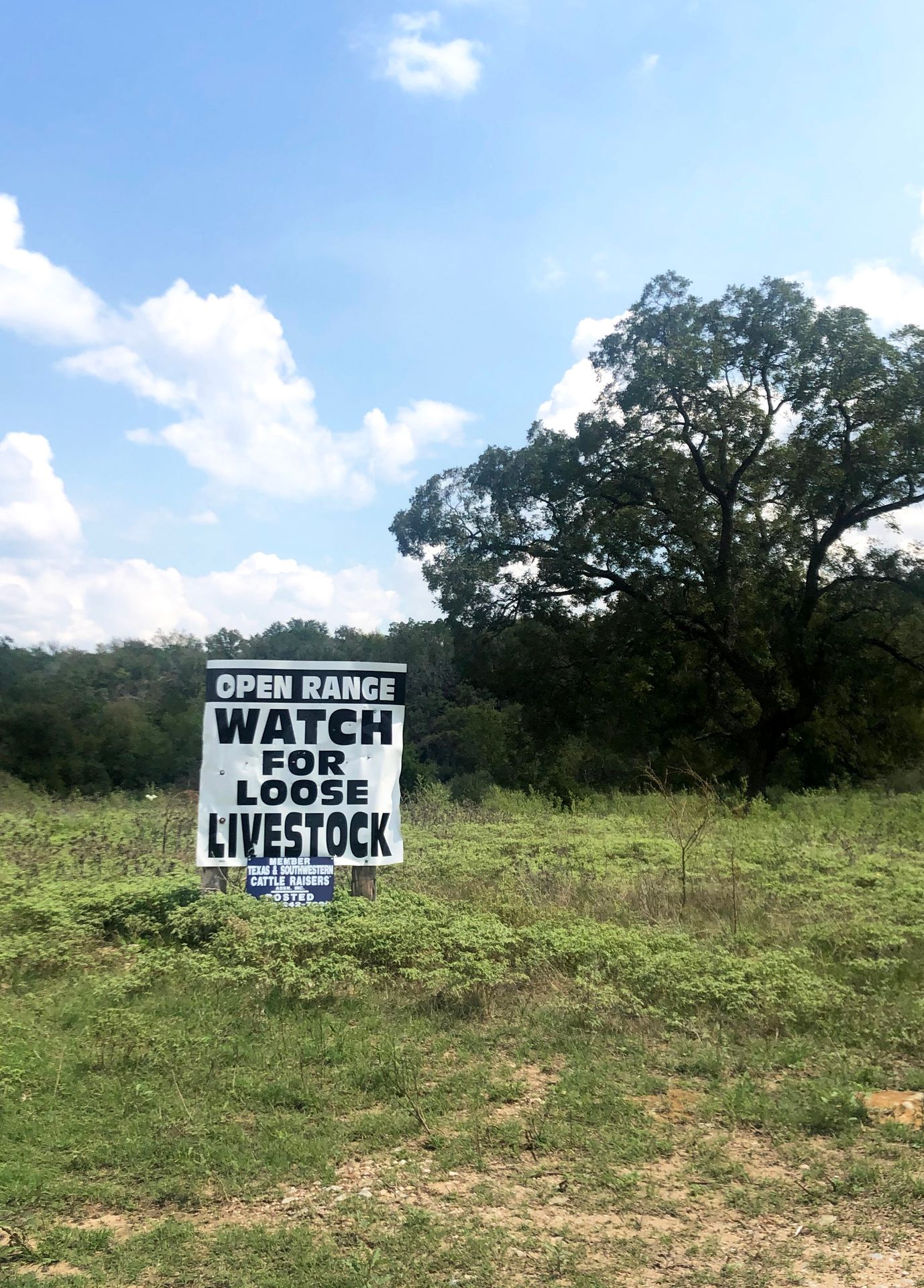 A sign that reads "Open Range: Watch for Loose Livestock."