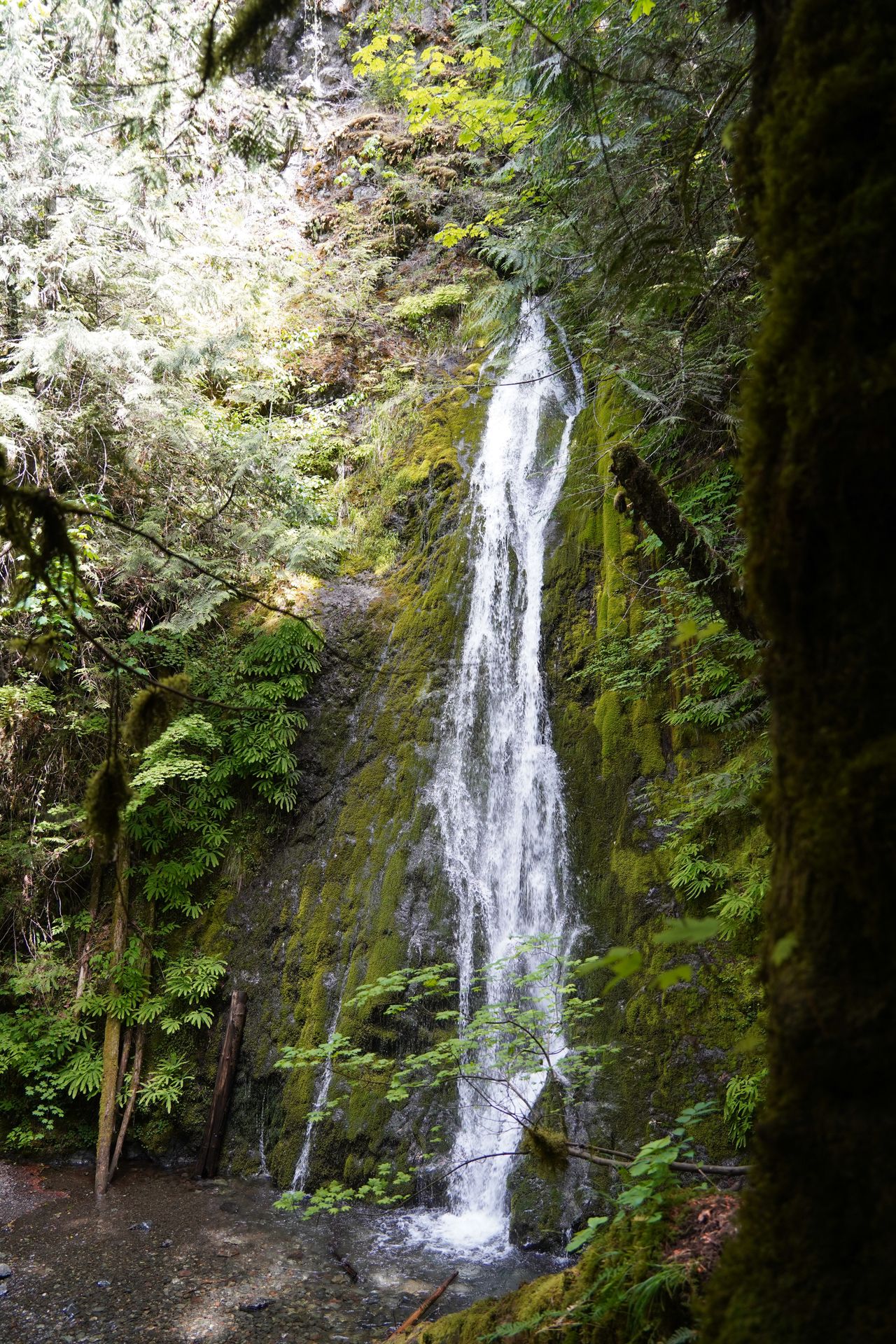 A waterfall flowing down a wall of green moss
