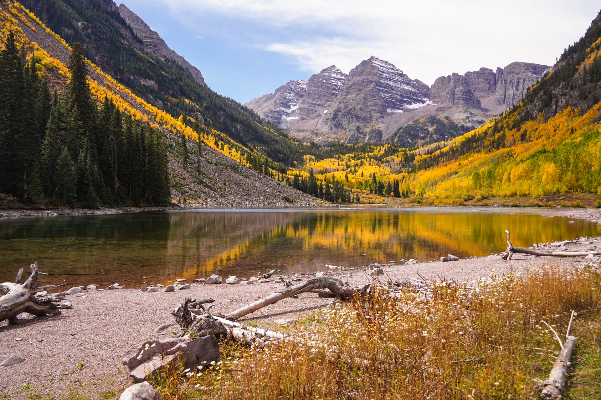 A view of Maroon Bells in the fall, which includes mountain peaks, a still lake, yellow aspen trees and some flowers in the foreground