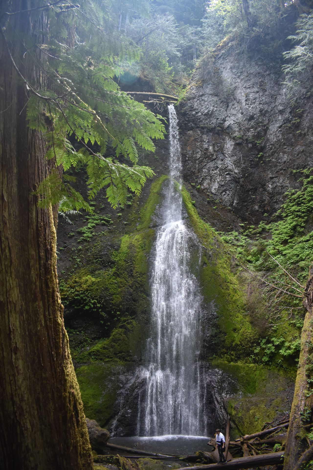 A tall waterfall that is skinnier at the top, and gets wider halfway down