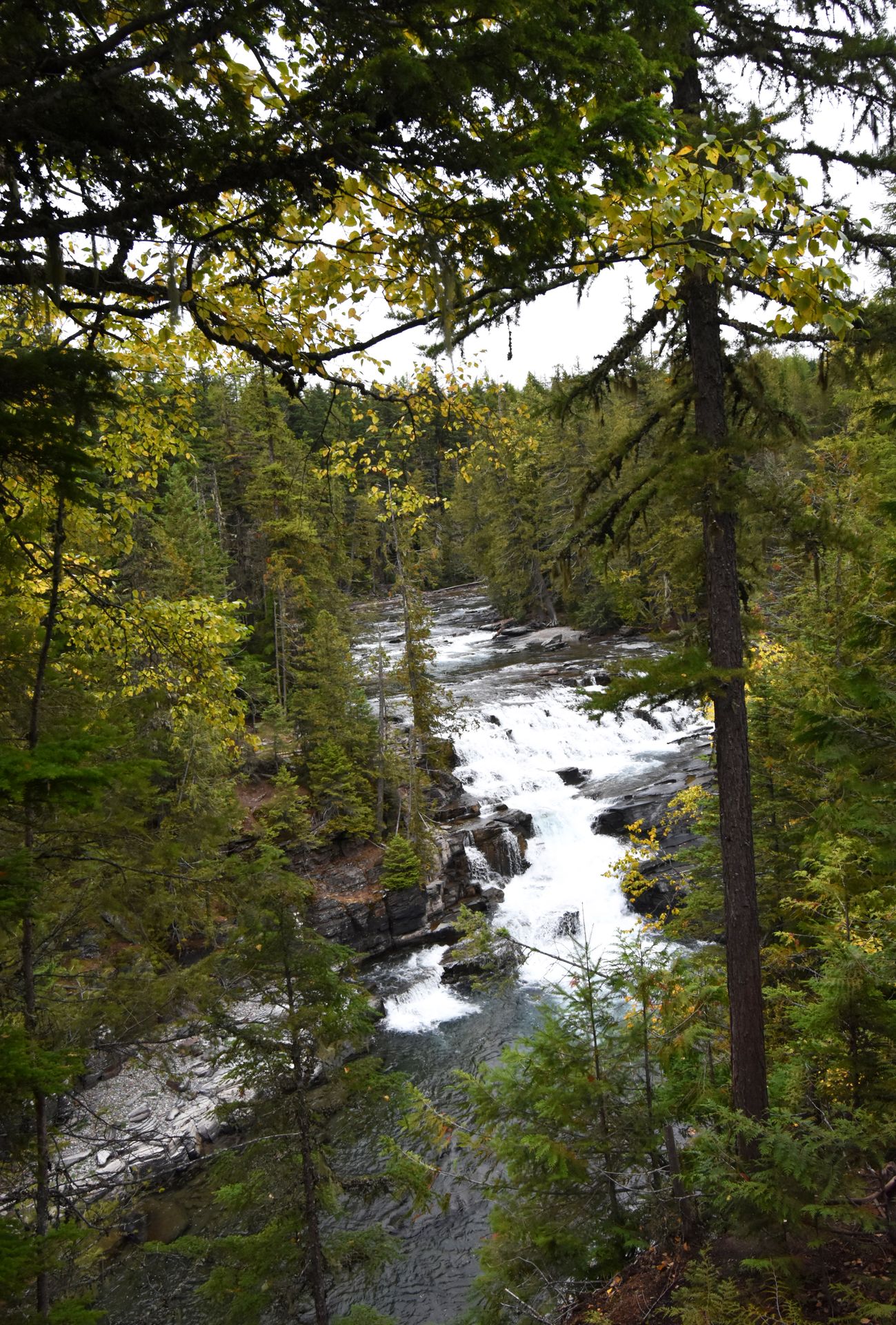 A small waterfall in the river. It is a view from above and surrounded by trees.