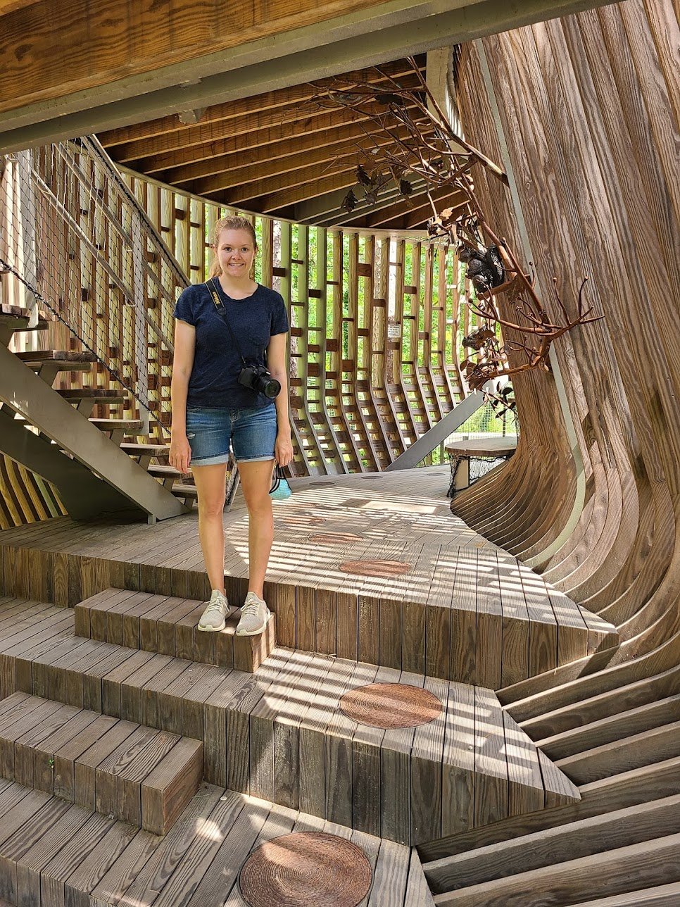 Lydia standing inside the treehouse. There is curved wood, some steps in front of her and behind her and tree branches sticking out of the walls.