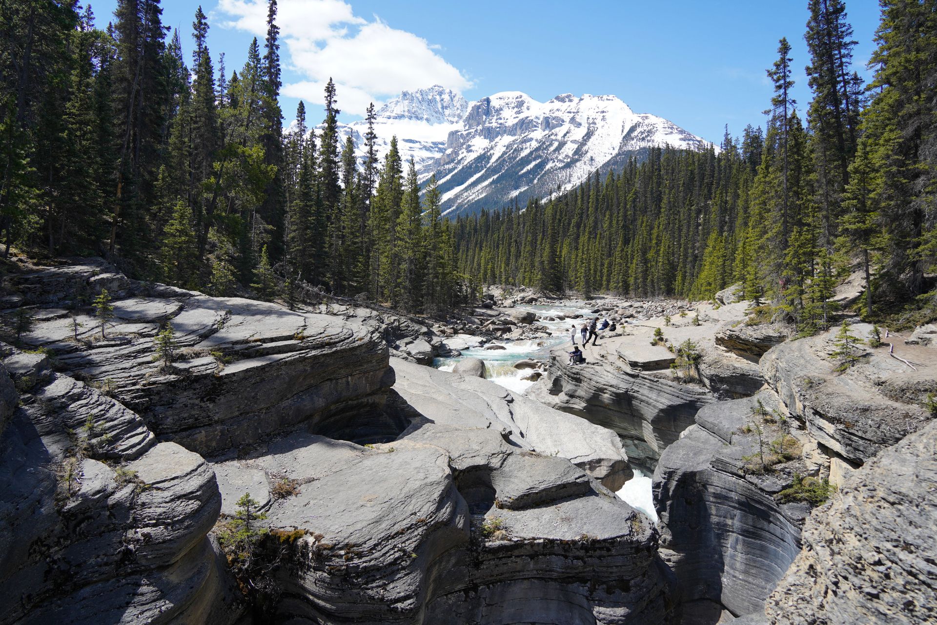 Gray rocks that have been carved away by water to create smooth, swirled rocks. There is a mountain in the background.