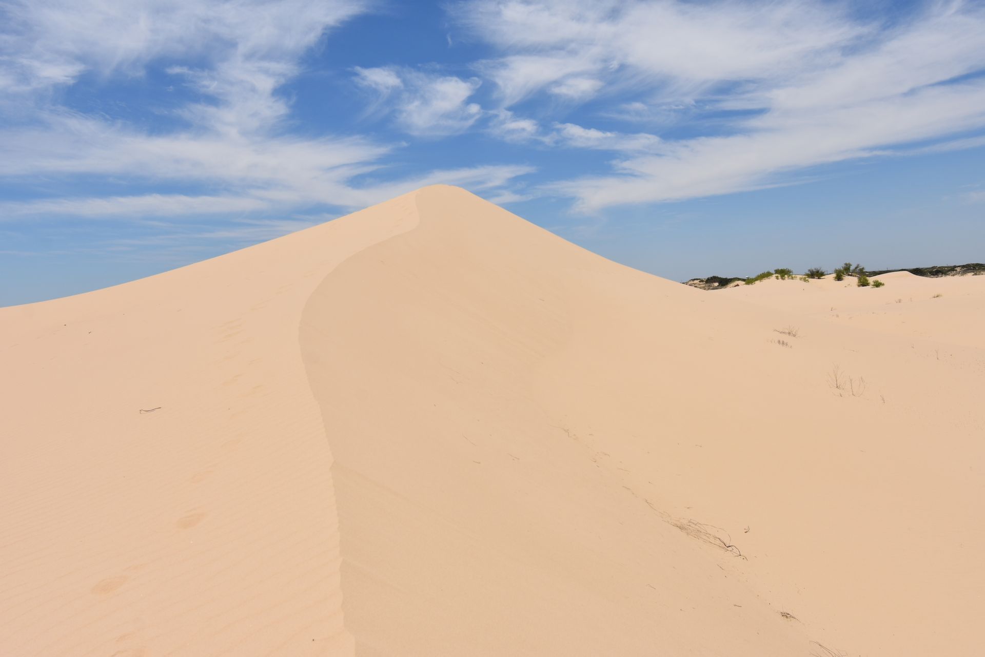 A large hill of sand at Monahans Sandhills State Park.