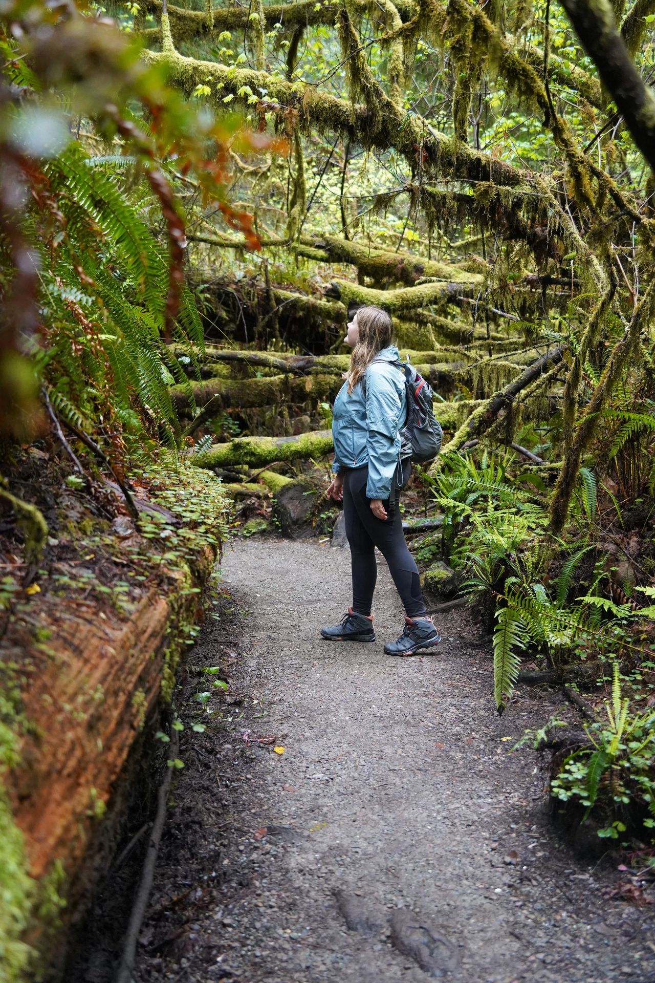 Lydia standing on the trail surrounding by mossy, green branches on the Grove of the Titans Trail in Redwoods National Park