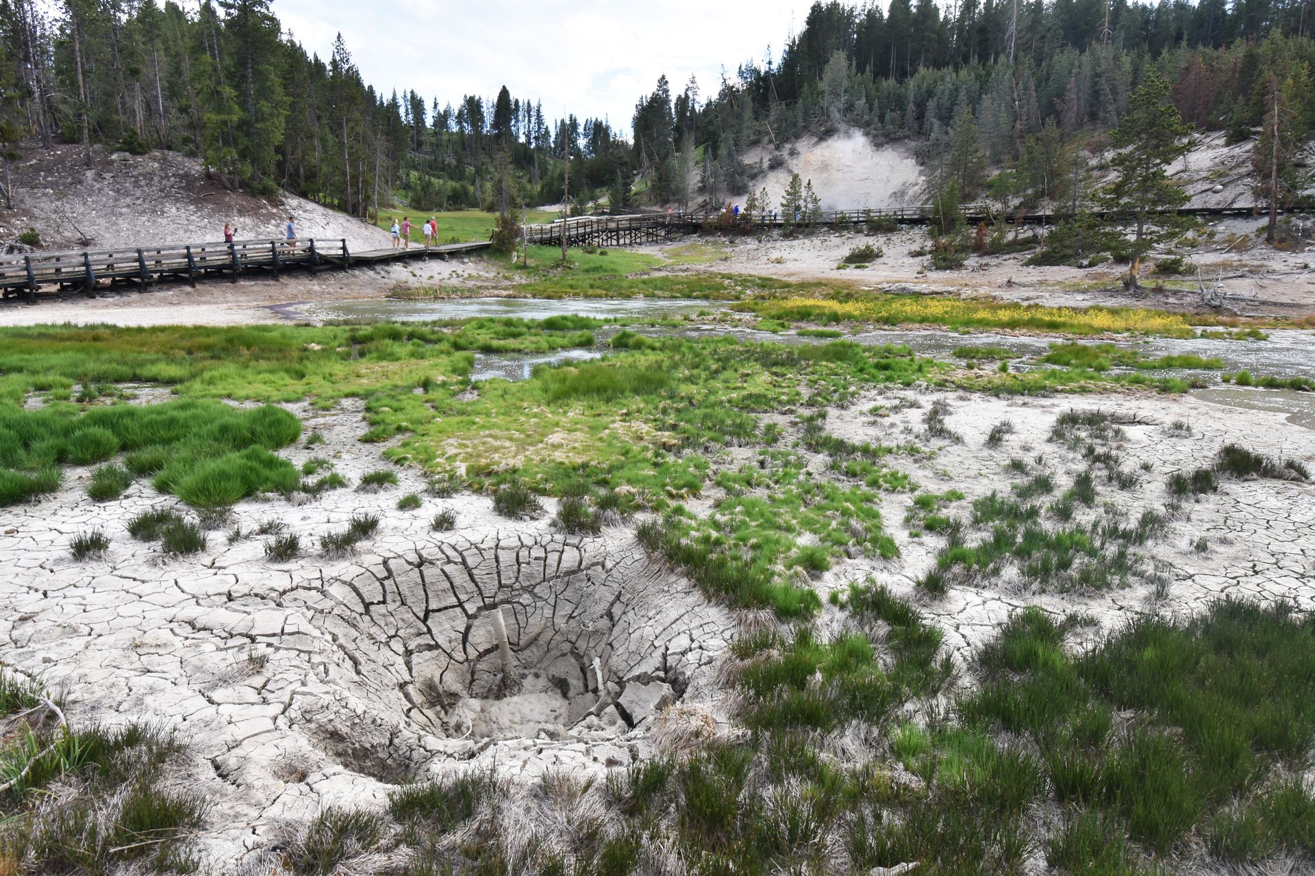 Cracking mud pots along the Mud Volcano trail.