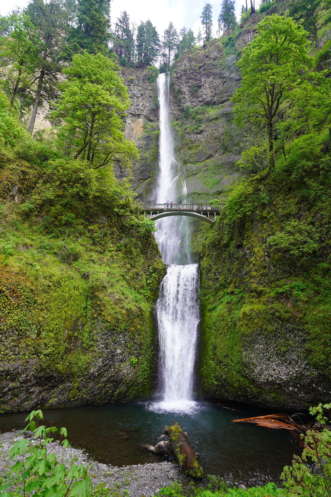 A view looking directly at Multnomah Falls