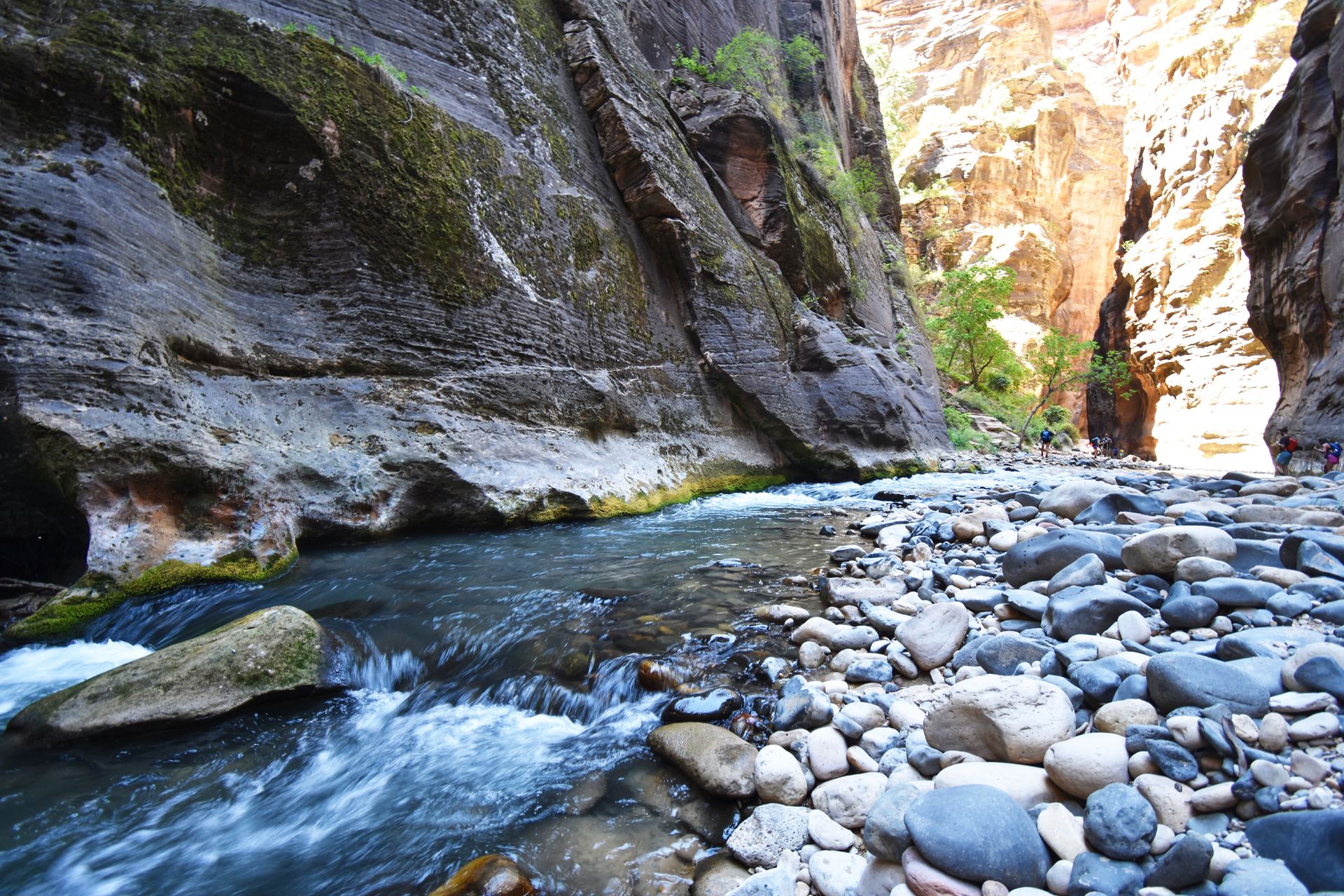 A view of the Narrows trail. You can see the a river with several rocks next to it and towering canyon walls on either side. There is one hiker in the distance.