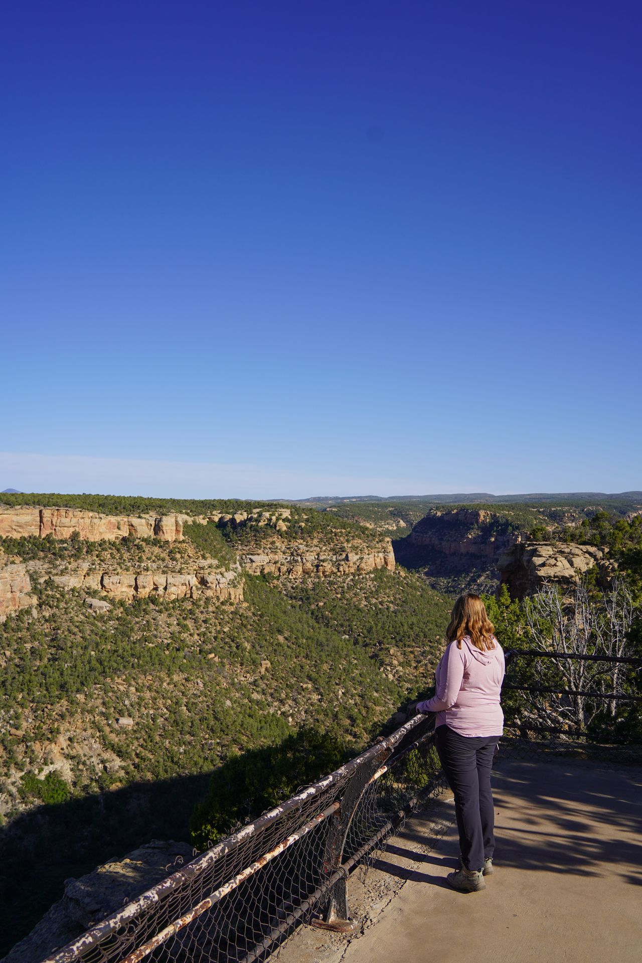 Lydia standing at a fence, looking at an overlook of an expansive canyon with green trees and cliffs