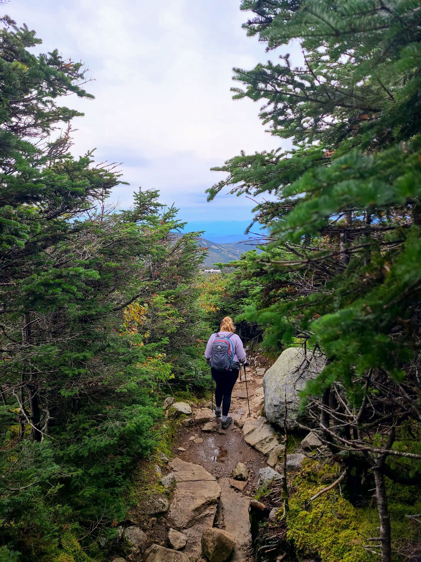 Lydia hiking down a path surrounded by trees on a trail in New Hampshire