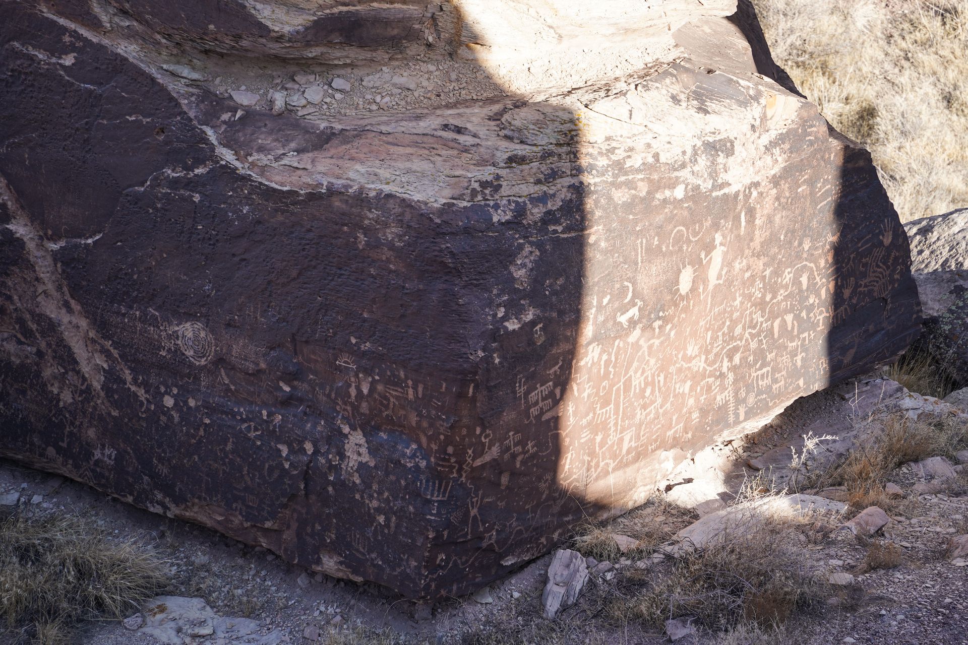 A large rock with many petroglpyhs all over it