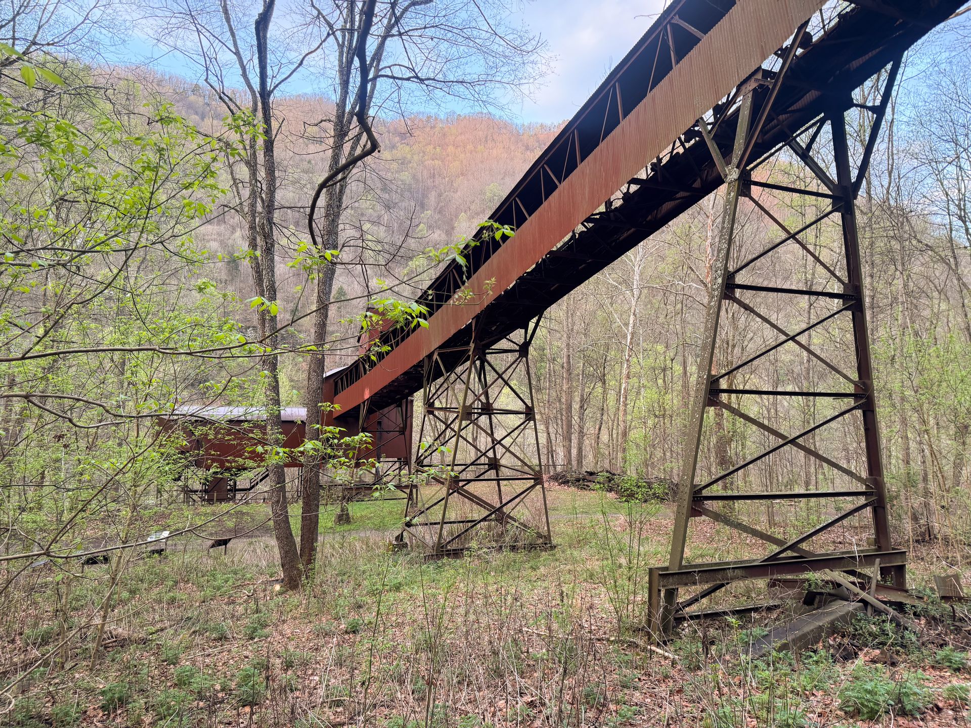 A long conveyor belt that stands among trees