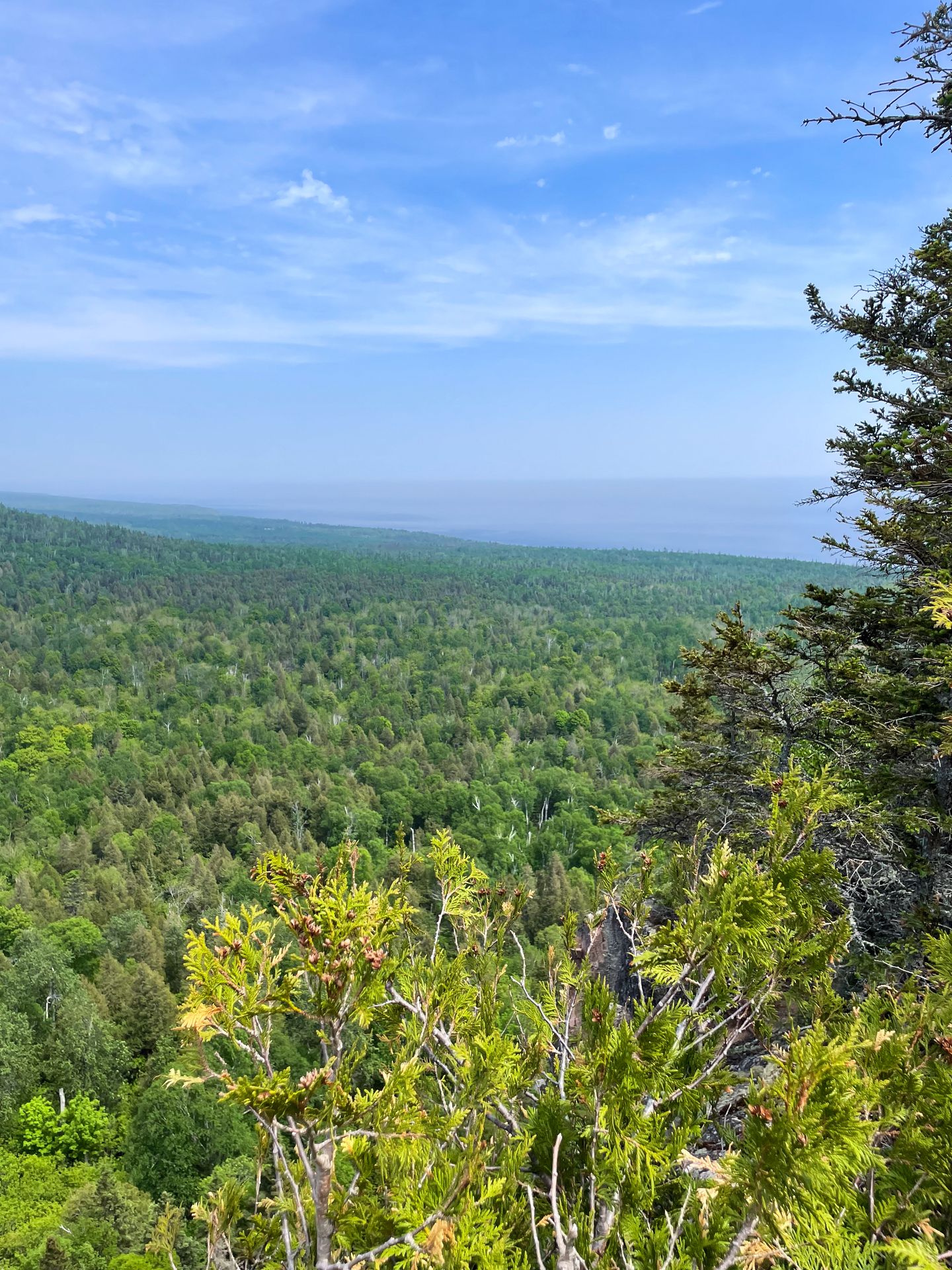 Looking at Lake Superior in the distance. Many green trees are between the water and the viewer.