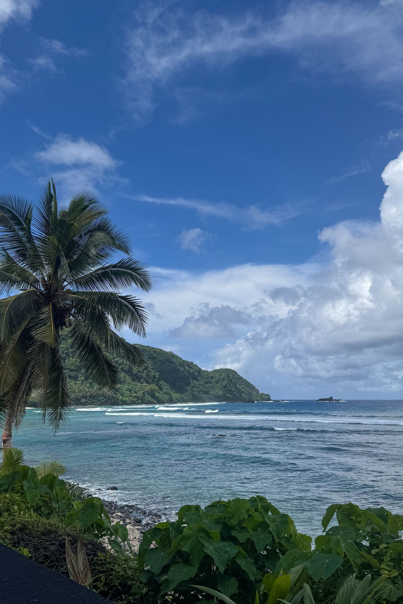 A view of the coast, with mountains covered in green trees