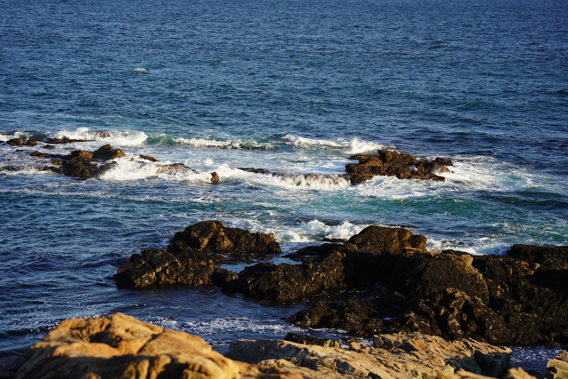 Waves crashing into rocks along the shore in Acadia National Park.
